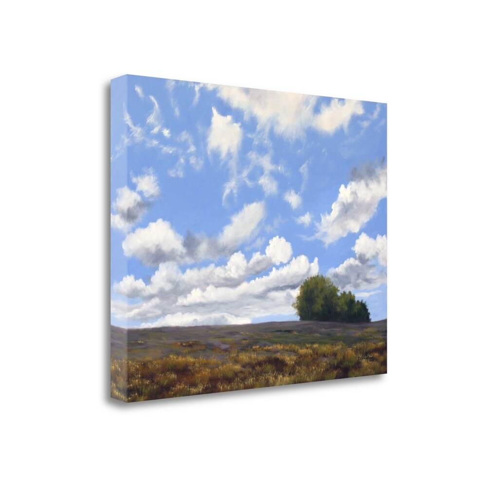 Big Sky by Julie Peterson - Premium Fine Art Giclee Print on Gallery Wrapped Canvas, Ready to Hang Wall Decor for Living Room, Bedroom & Office