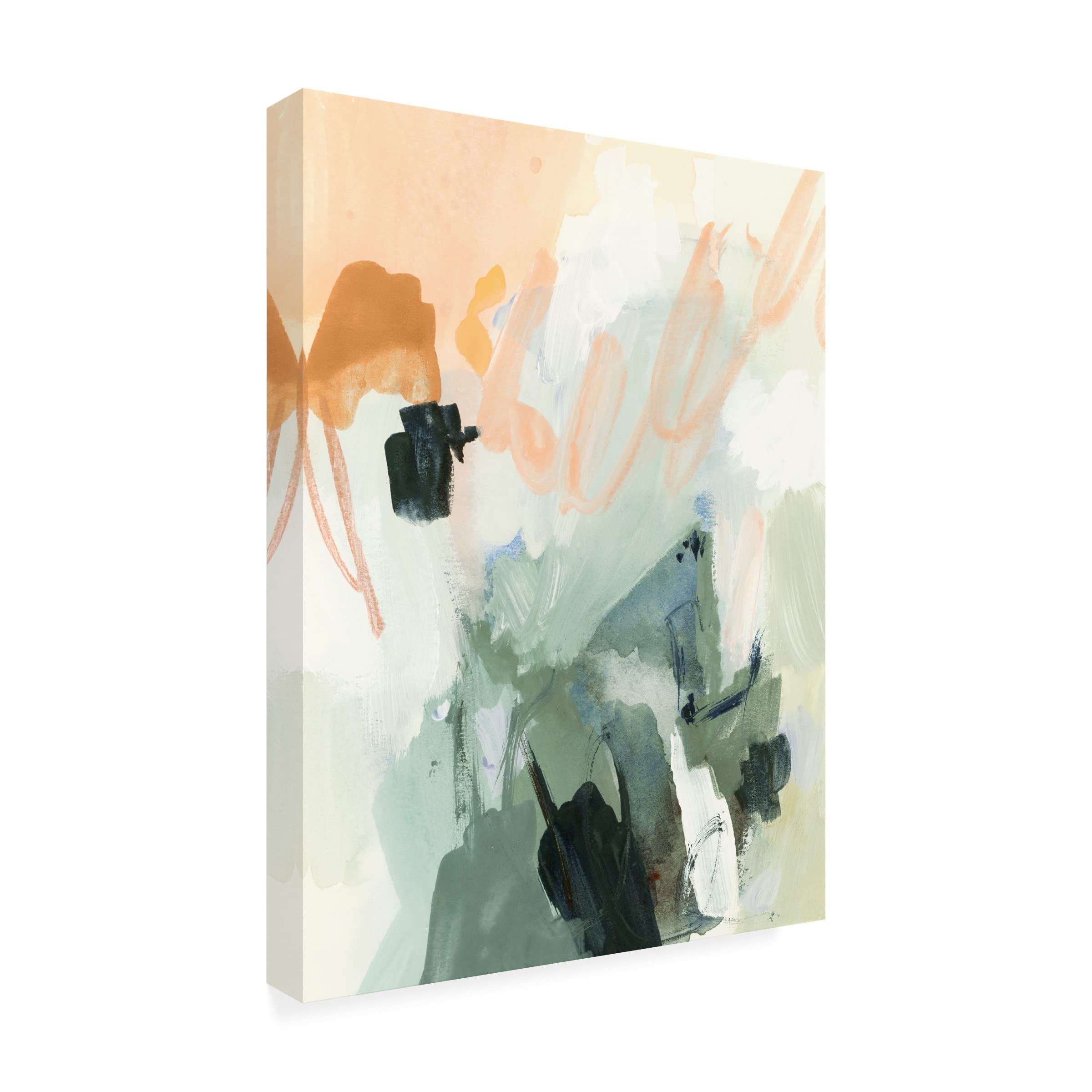 Victoria Barnes 'Moss And Peach I' Canvas Wall Art Print - Modern Botanical Home Decor for Living Room, Bedroom & Office