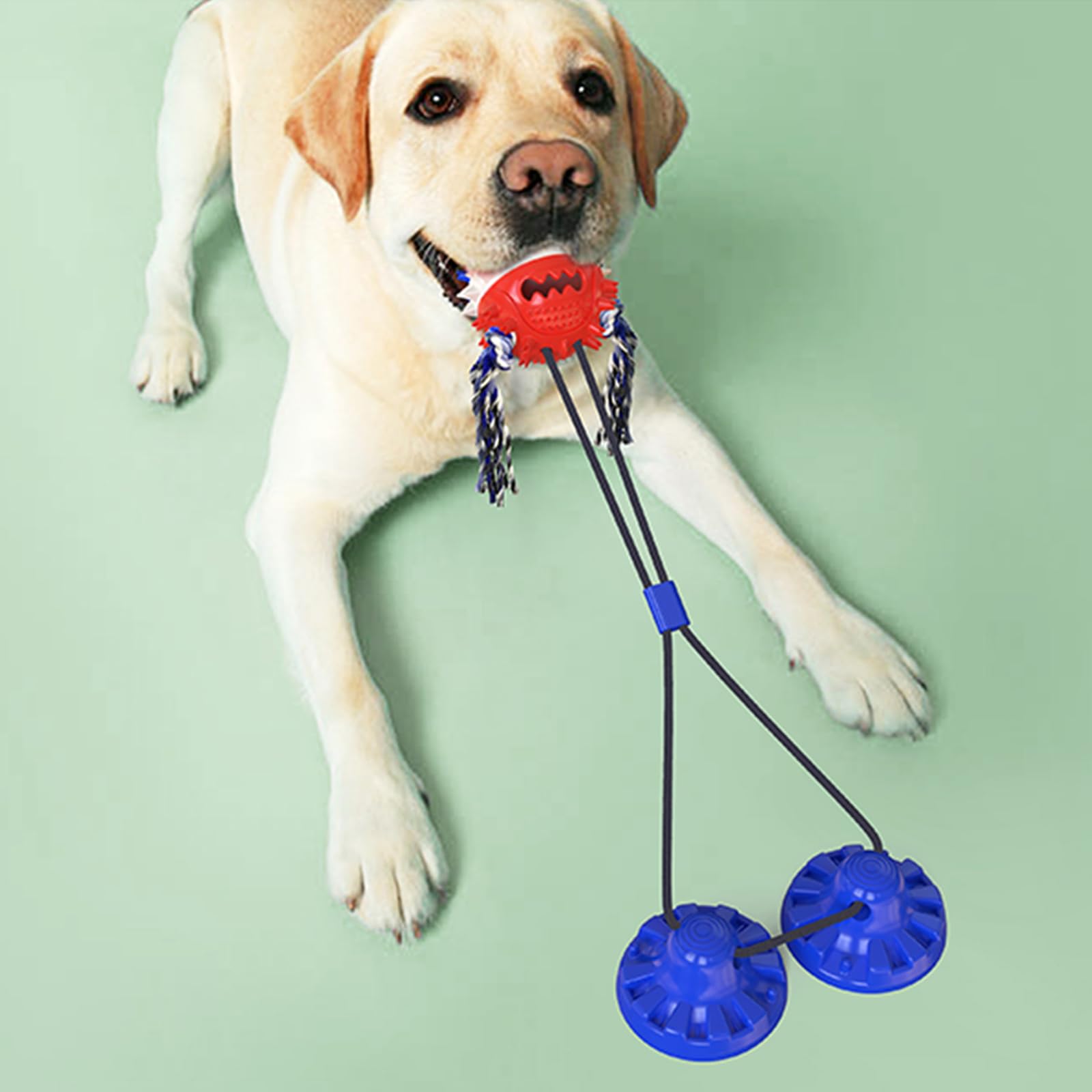Durable Indestructible Dog Chew Toys for Aggressive Chewers - Interactive Puzzle Ball, Rope Tug of War & Teeth Cleaning Toy for Puppies (Blue) | Perfect for Teething, Boredom Relief & Mental Stimulation