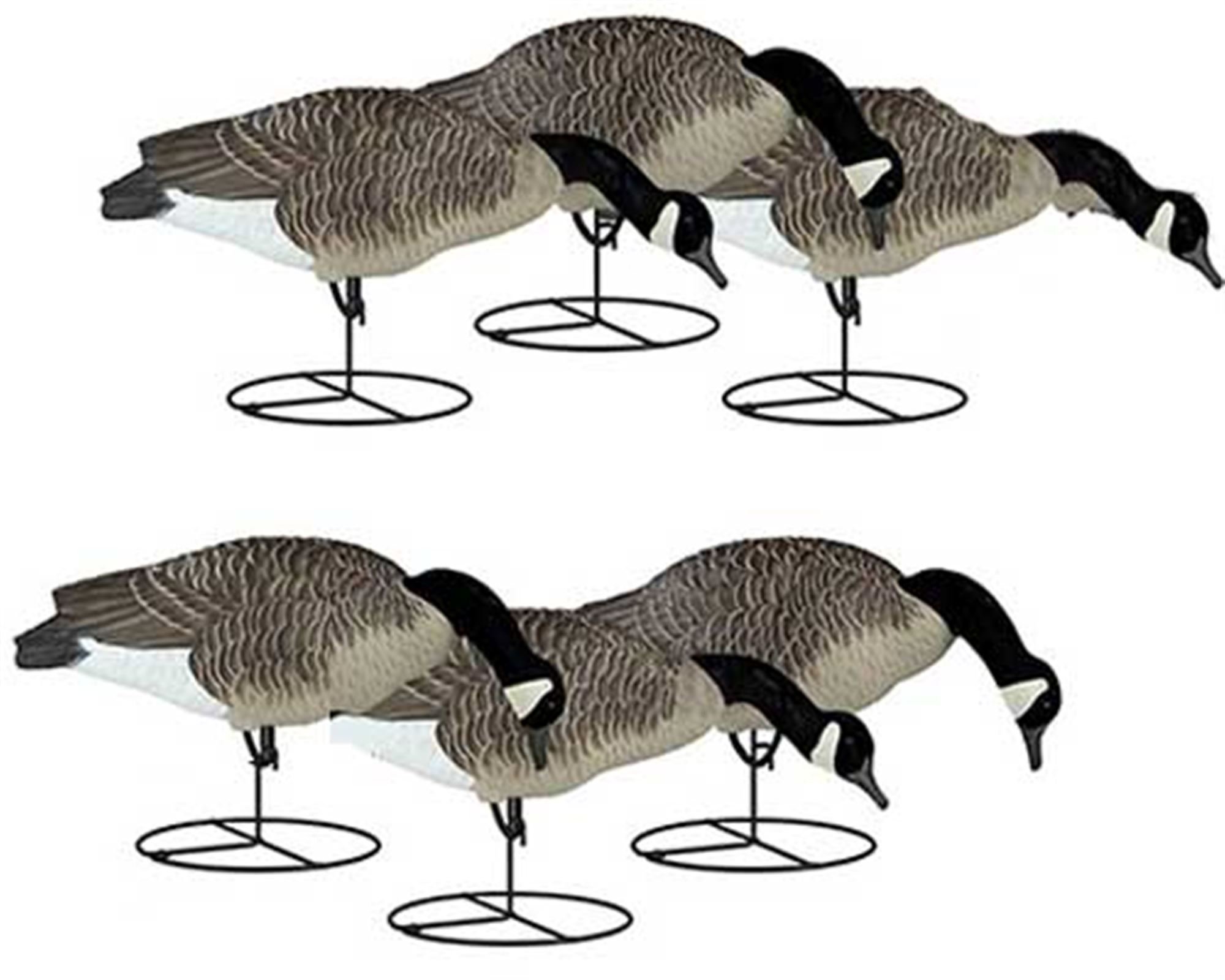 Dakota Decoy Full Body Canada Goose Feeder Decoy - 6 Pack for Waterfowl Hunting & Wildlife Photography