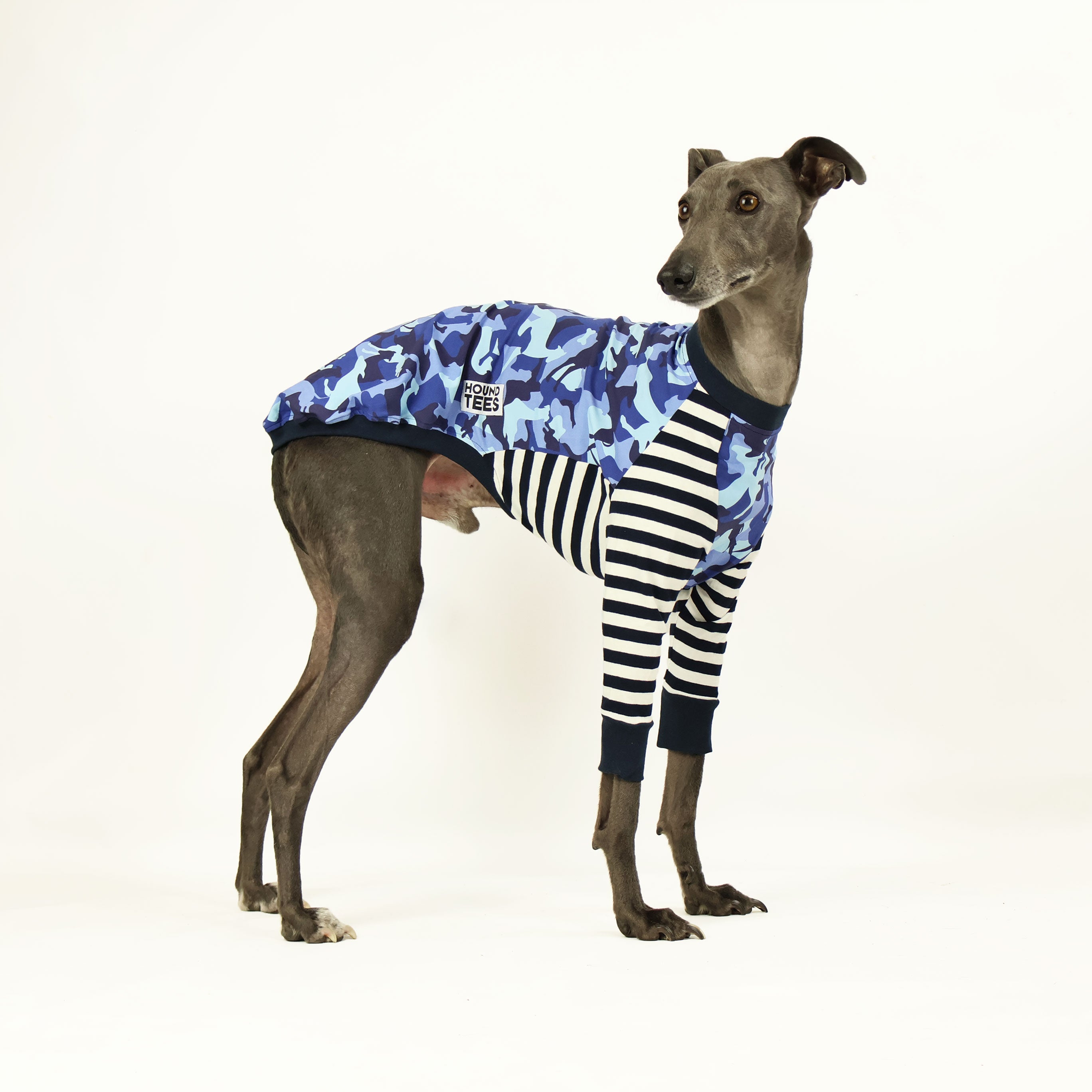 Houndini Blues Whippet Long Sleeve Dog T-Shirt - Comfortable Cotton Pet Lover Apparel for Casual Wear & Dog Walking