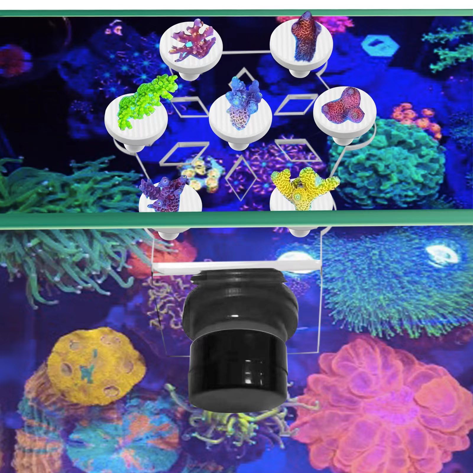 Magnetic Coral Frag Holder Set with 7 Ceramic Plug Bases - Secure Coral Frags for Saltwater Aquariums, Reef Tanks & Marine Propagation - Ideal for Aquascaping, Coral Farming & Frag Display