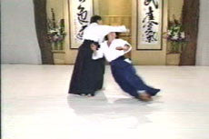 Aikido Principles & Techniques DVD by Mary Heiny - Learn Self-Defense & Martial Arts for Home Training, Dojo Practice & Fitness