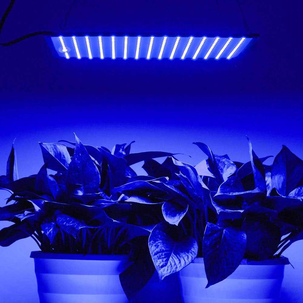 TheLAShop 225 LED Grow Light Panel - Ultra Thin Full Spectrum Plant Light with Blue & Red LEDs for Indoor Plants, Hydroponics, Greenhouses & Home Gardening