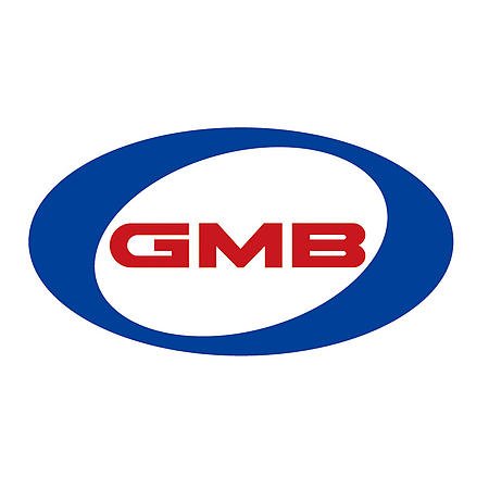 GMB 1231040 Water Pump Replacement Part #123-1040 - Compatible with [Vehicle Models] for Engine Cooling System & Automotive Repair