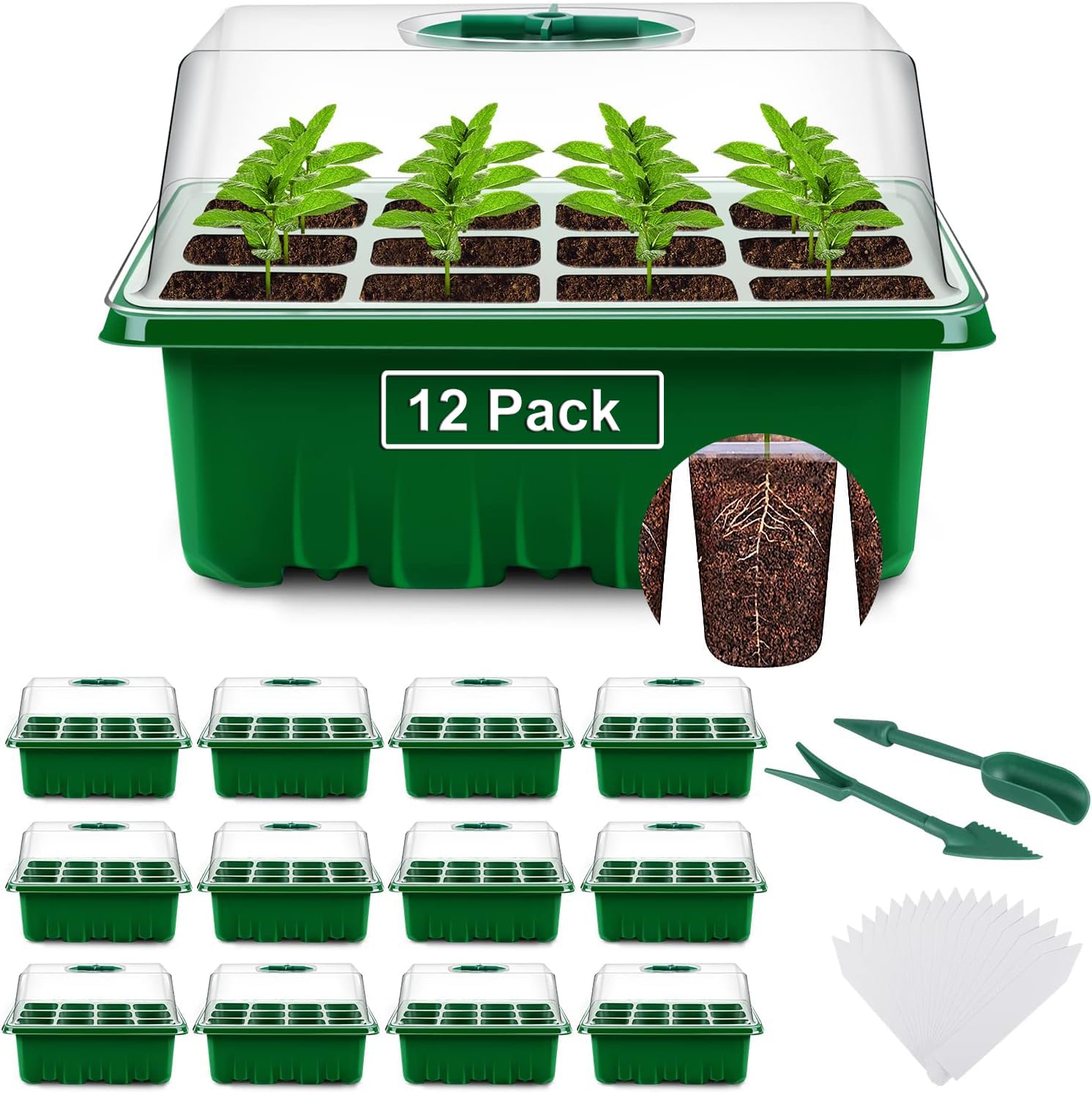 YAUNGEL 12 Pack Seed Starter Tray Kit - 144 Cells Thickened Seedling Starter with Humidity Dome & Clear Lids | Durable Plant Germination Trays for Indoor Gardening, Herb Growing, and Vegetable Seed Starting | Perfect for Home Gardeners and Greenhouse Use