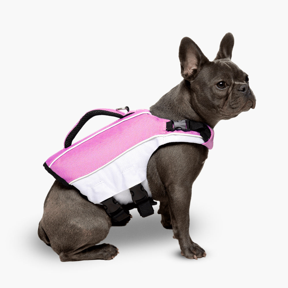 Dog Life Jacket for Swimming & Boating - Pink Safety Vest for Small Medium Large Dogs - Waterproof Buoyancy Aid for Pools, Lakes & Beach