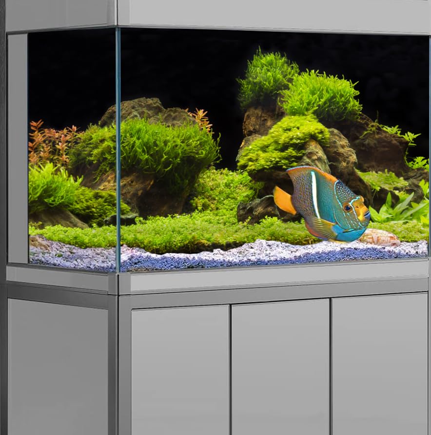60x24 Inches Fish Tank Background - Black River Bed & Lake Aquatic Plant Terrarium Decor | Durable Polyester Aquarium Backdrop with Moss Grass Landscape & 8 EVA Double-Sided Tapes | Perfect for Freshwater & Saltwater Aquariums, Reptile Tanks & Terrariums