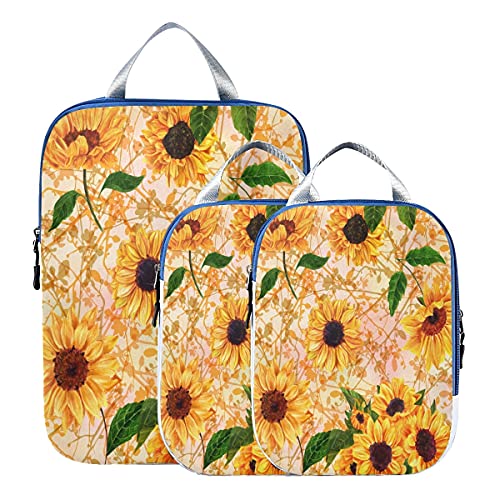 Sunflower 13