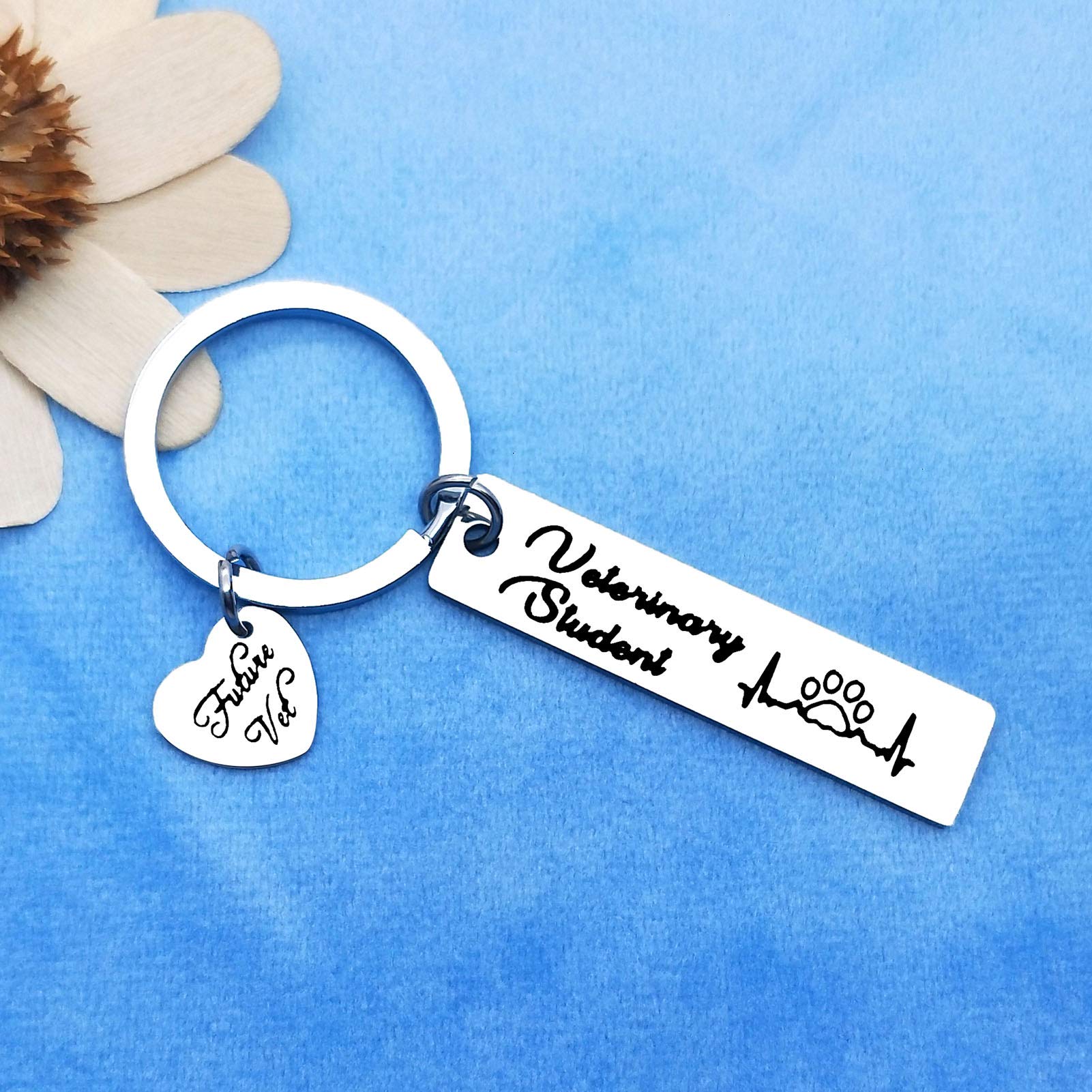 Veterinarian Appreciation Keychain - Vet Tech Gifts for Animal Rescue Workers, Veterinary Graduation Present - Perfect for Clinics, Hospitals & Pet Lovers