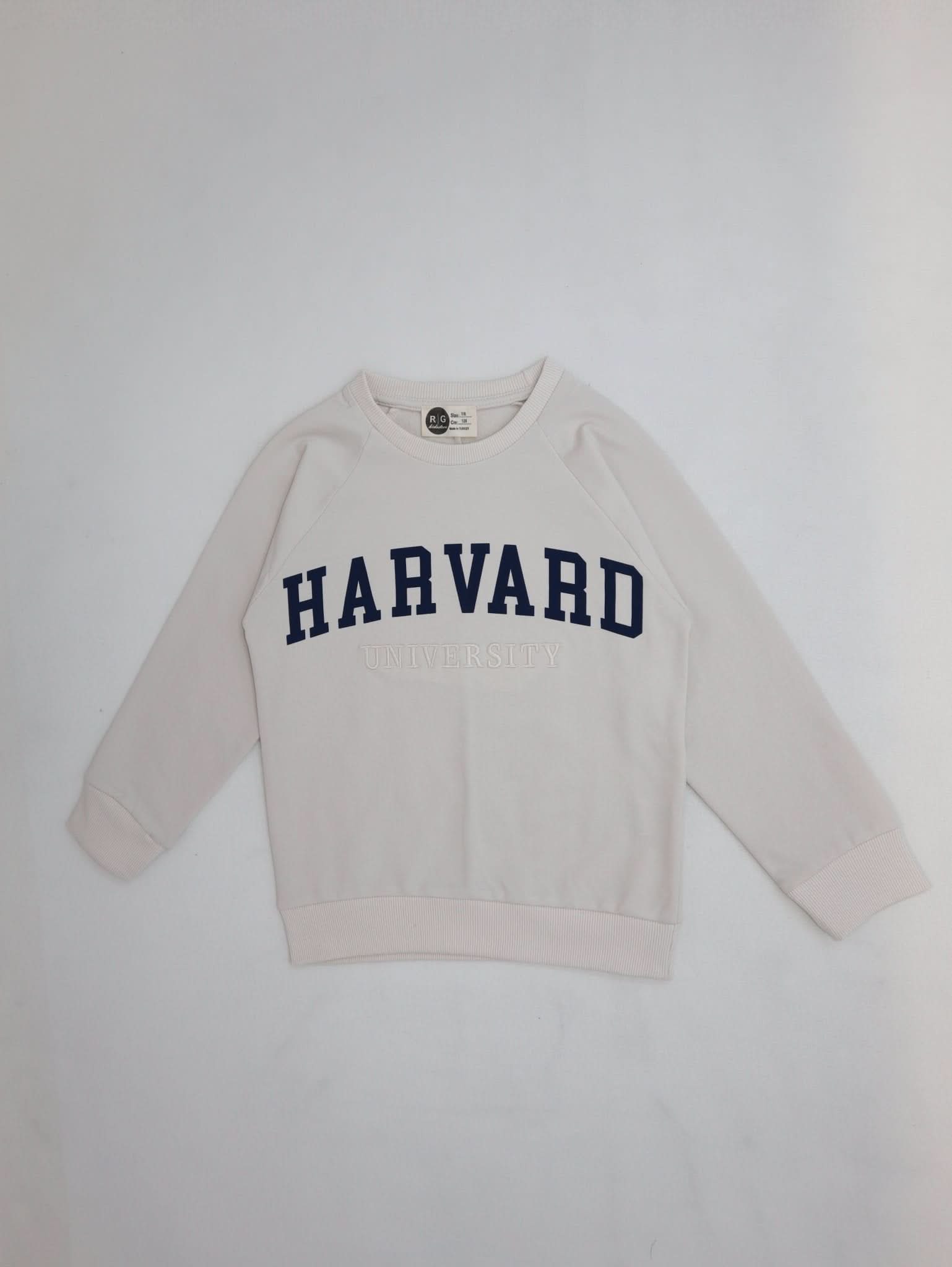 Kids Unisex Embroidered Printed Sweatshirt - Cozy & Stylish Pullover for Boys & Girls - Perfect for School, Playdates & Family Outings