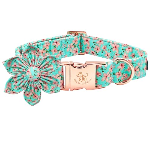 Peach Floral