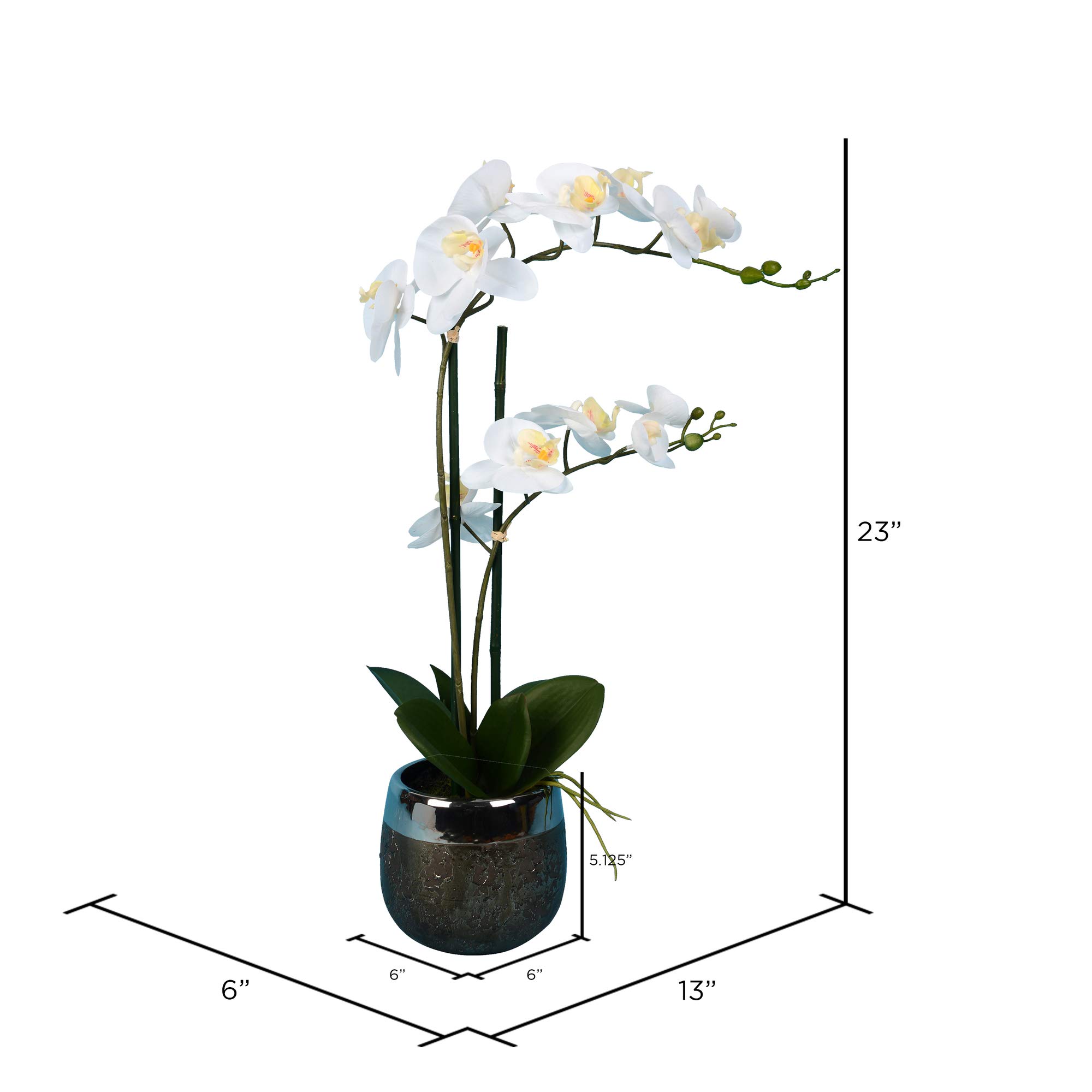 Vickerman 23