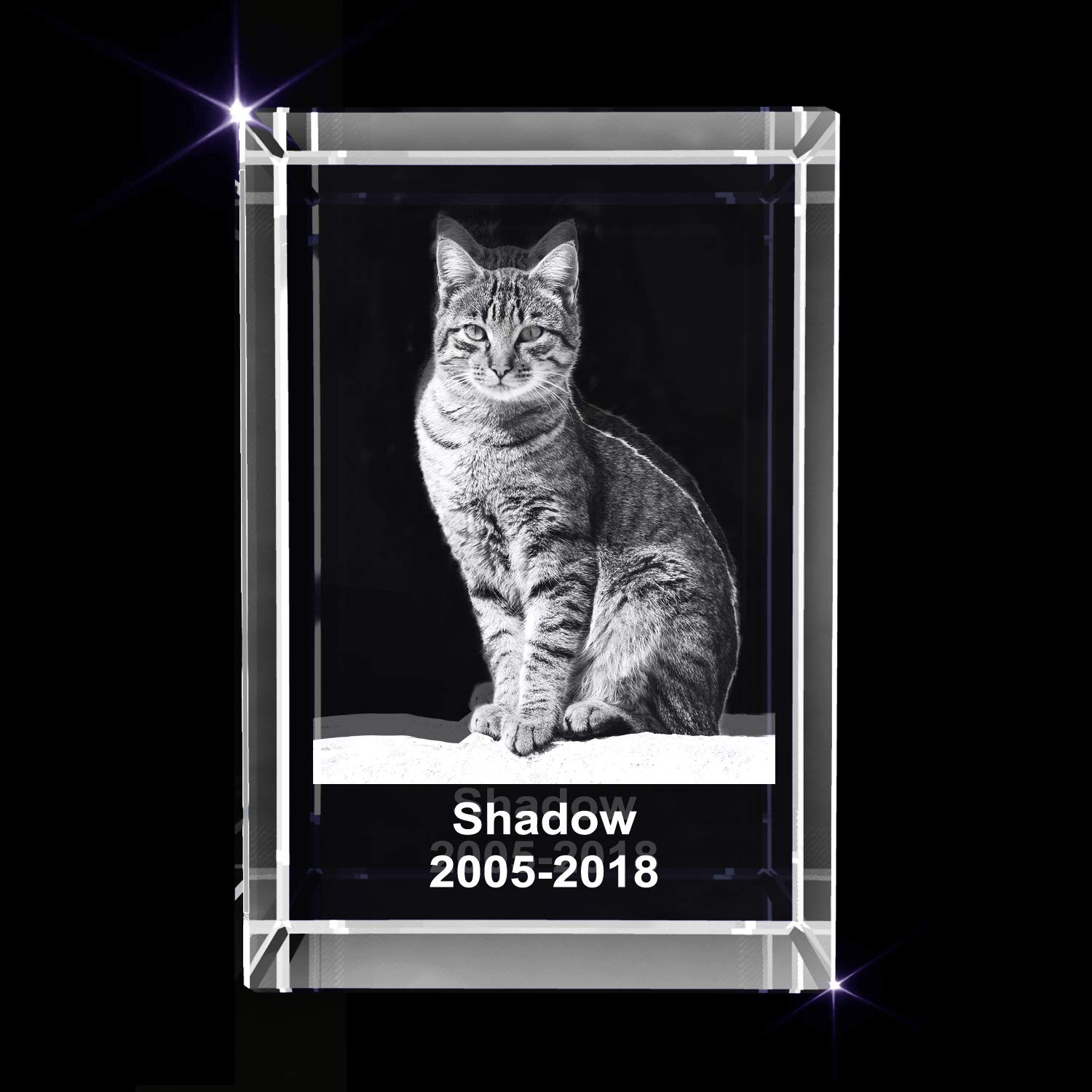 Personalized Pet 3D Engraved Crystal Photo Gift - Custom Engraving Memorial Keepsake for Dogs & Cats - Perfect for Pet Loss Remembrance, Anniversary Gifts & Home Decor (Large Rectangle)