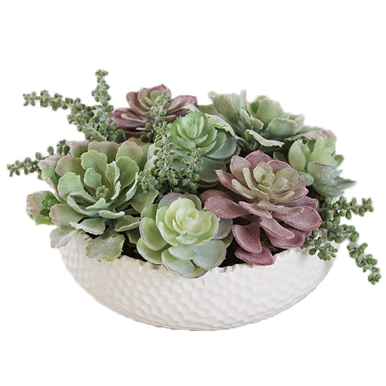 TOMYEUS Artificial Succulent Plants in White Ceramic Pots - 9.1