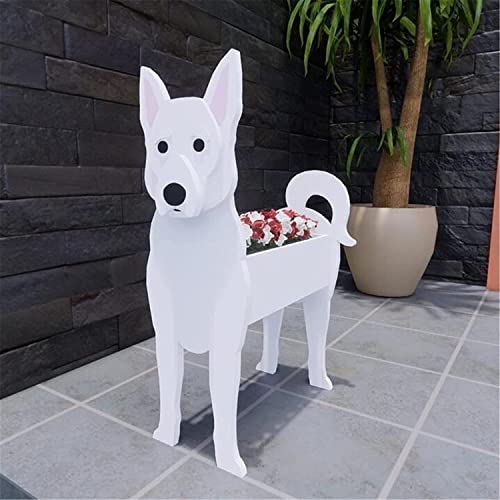 Swiss Shepherd