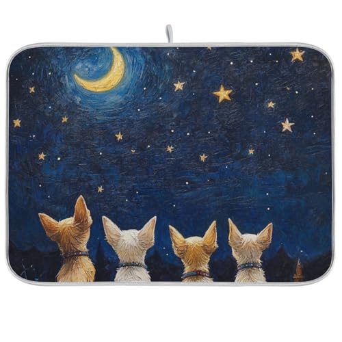 cute Chihuahuas backs blue nighty sky