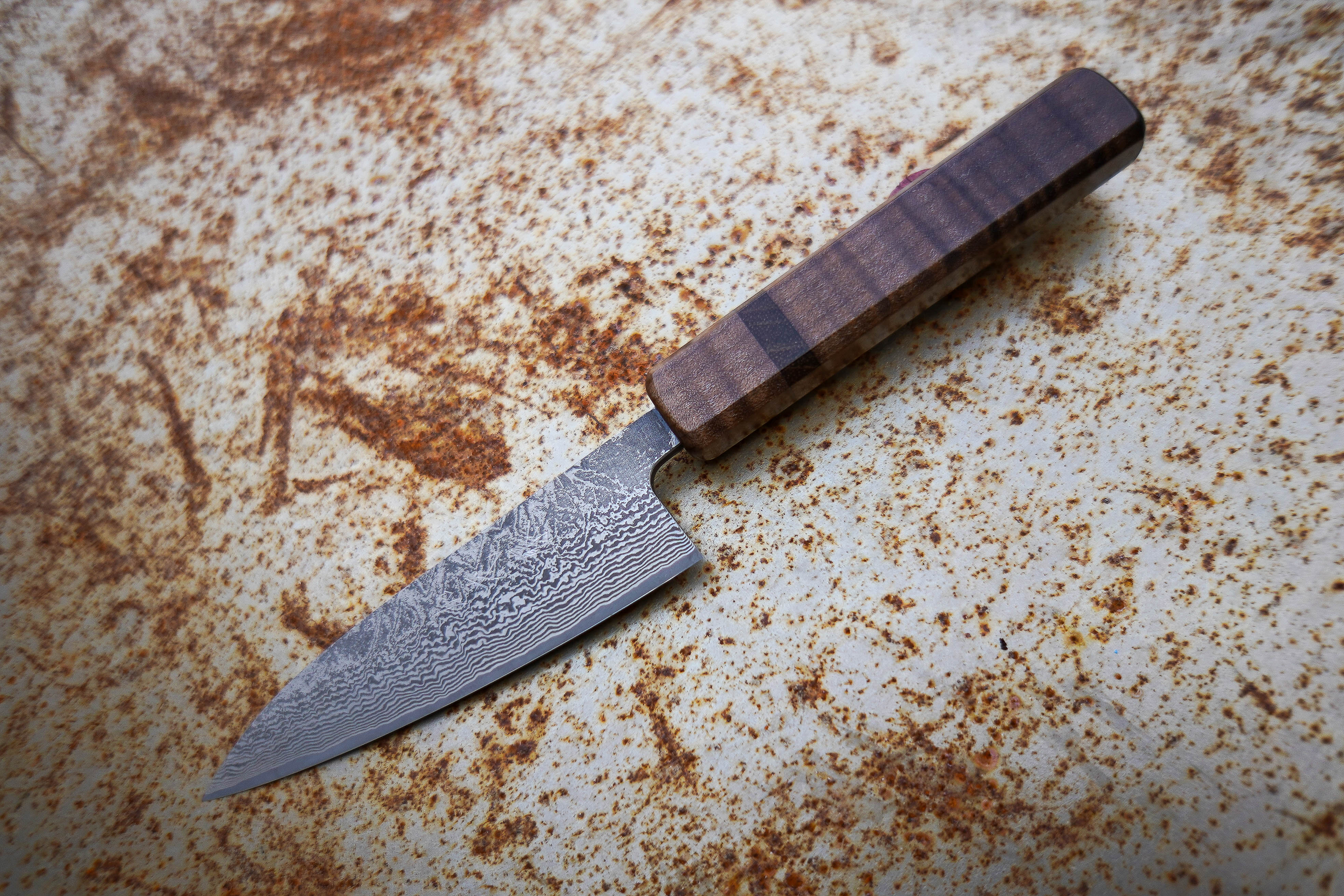 Shiro Kamo SG2 120mm Petty Knife - Japanese High-Carbon Stainless Steel Kitchen Utility Knife for Slicing, Peeling & Precision Cutting - Perfect for Chefs, Home Cooks & Culinary Enthusiasts