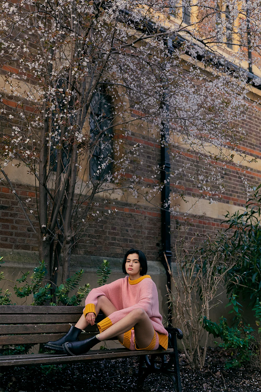 Chambord Knit Sweater in Rose - Women's Elegant Lace Knit Top for Casual & Party Wear | Perfect for Date Nights, Office Outfits & Special Occasions