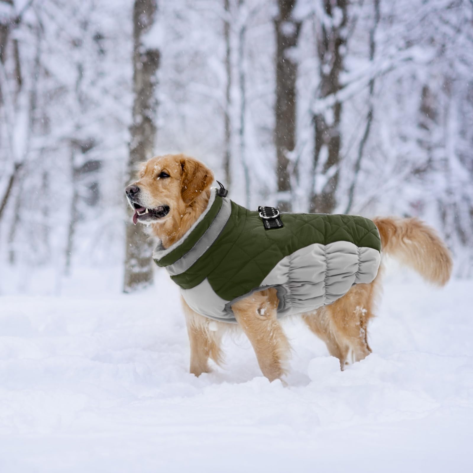 Lelepet Warm Winter Dog Coat with Harness - Windproof, Reflective Turtleneck Fleece Jacket for Small, Medium & Large Dogs | Cold Weather Protection for Outdoor Walks & Winter Adventures