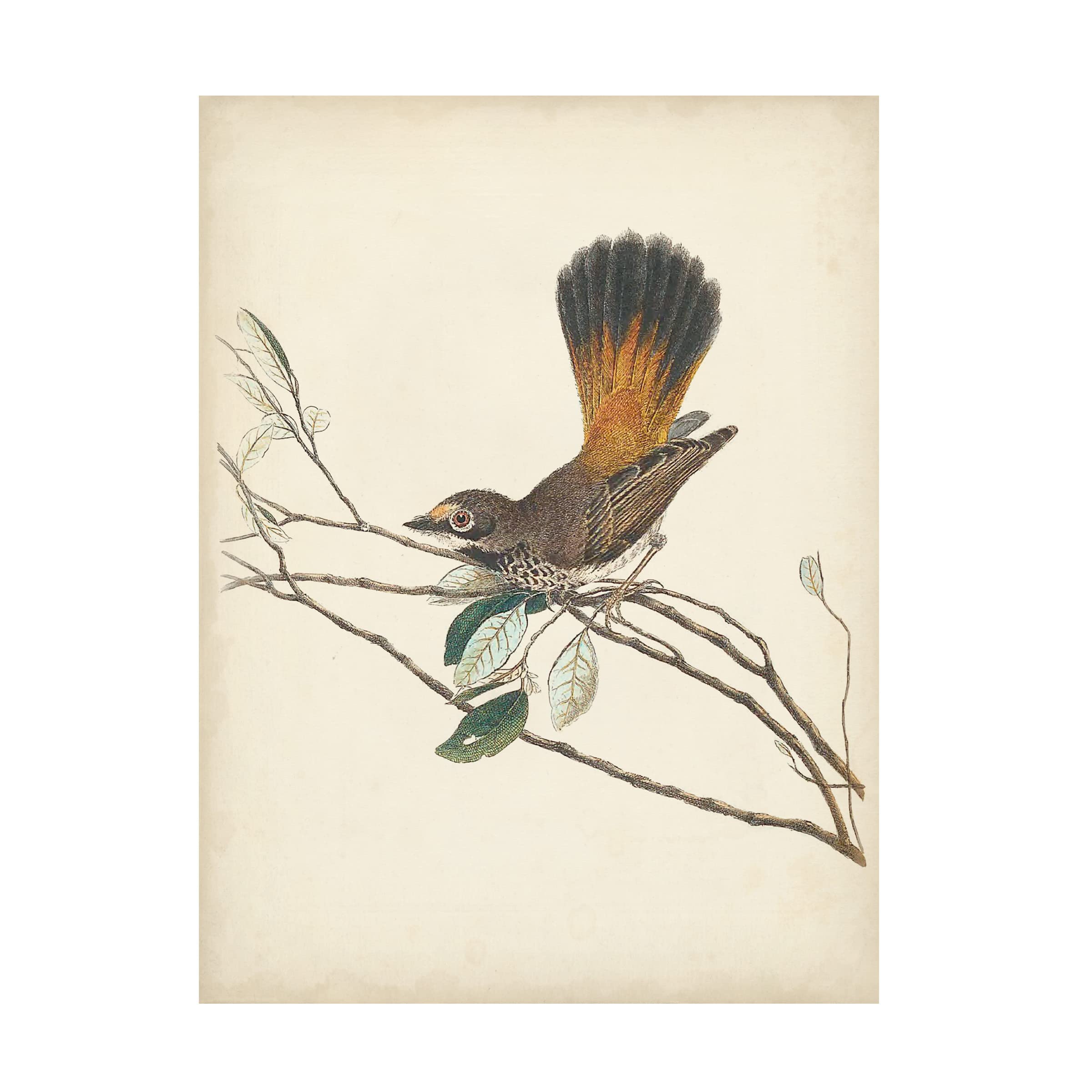 Graceful Birds II Canvas Wall Art by Vision Studio - Hand-Painted Floral & Bird Decor for Living Room, Bedroom, or Office