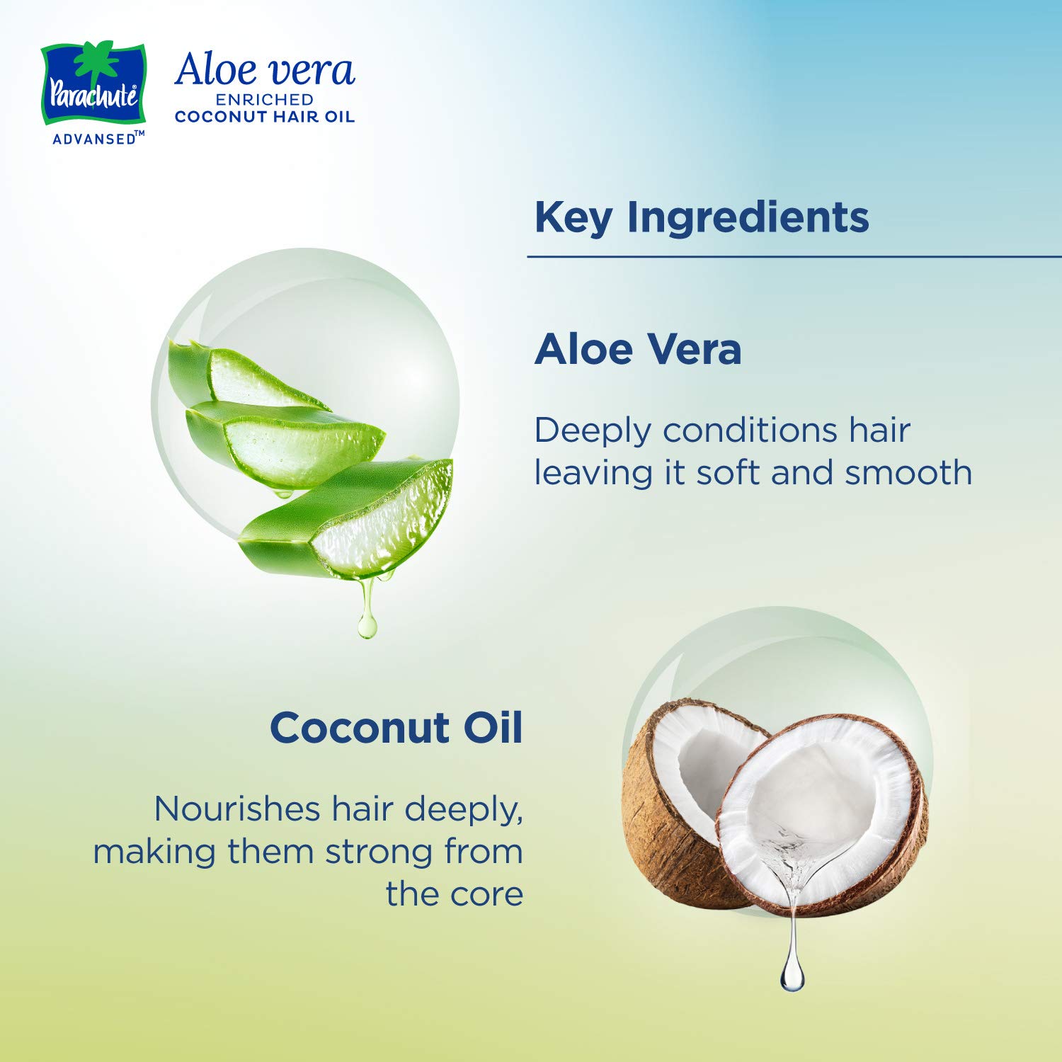 Parachute Advanced Aloe Vera Enriched Coconut Hair Oil for Dry & Damaged Hair - 250ml | Natural Hair Growth Treatment & Scalp Care | Perfect for Daily Moisturizing & Night Hair Mask