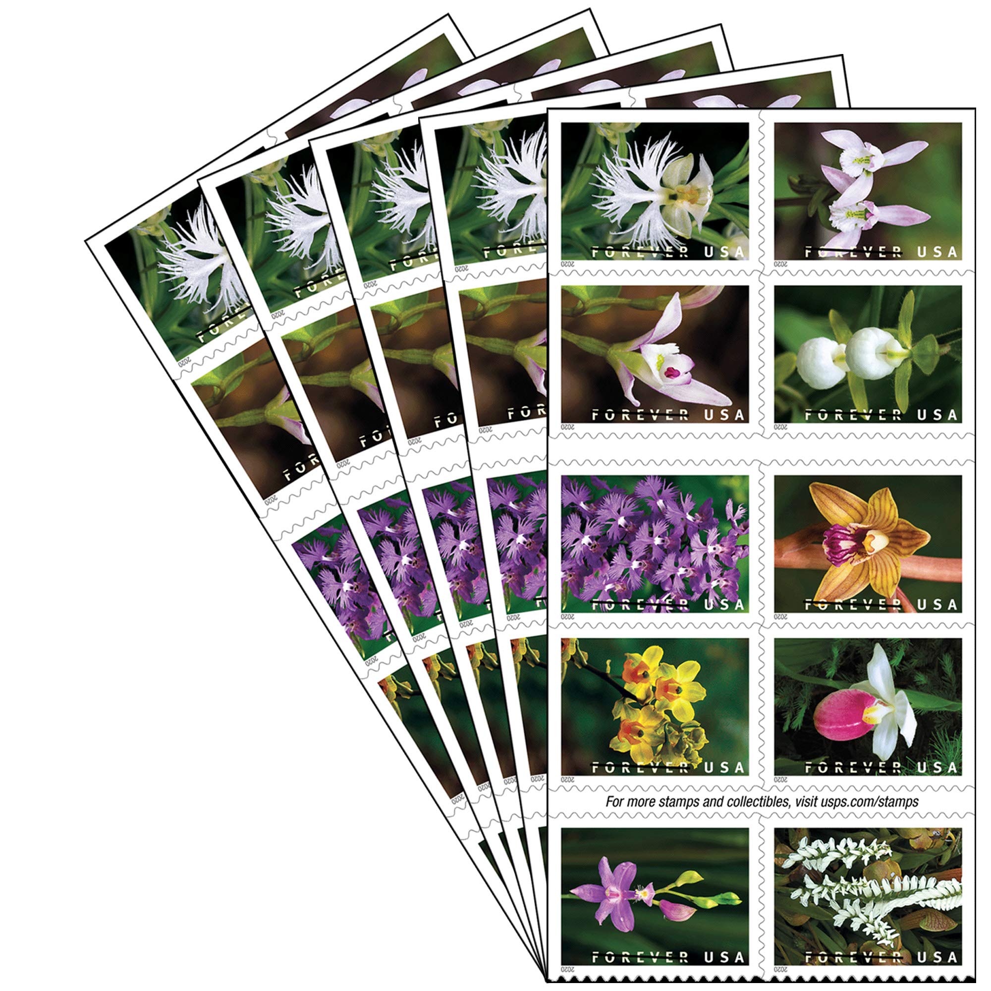 Wild Orchids 5 Books of 20 USPS First-Class Forever Stamps - Perfect for Birthday, Wedding, Engagement, Anniversary & Bridal Shower Celebrations - Great for Greeting Cards, Invitations & Collectibles