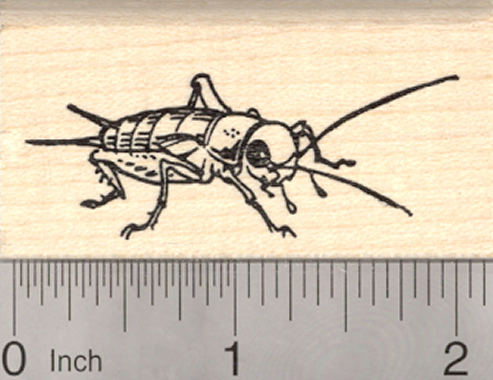 Cricket Rubber Stamp - Custom Cricket Logo Stamp for DIY Crafts, Scrapbooking & Office Use | Perfect for Cricket Fans, Team Branding & Personalized Gifts