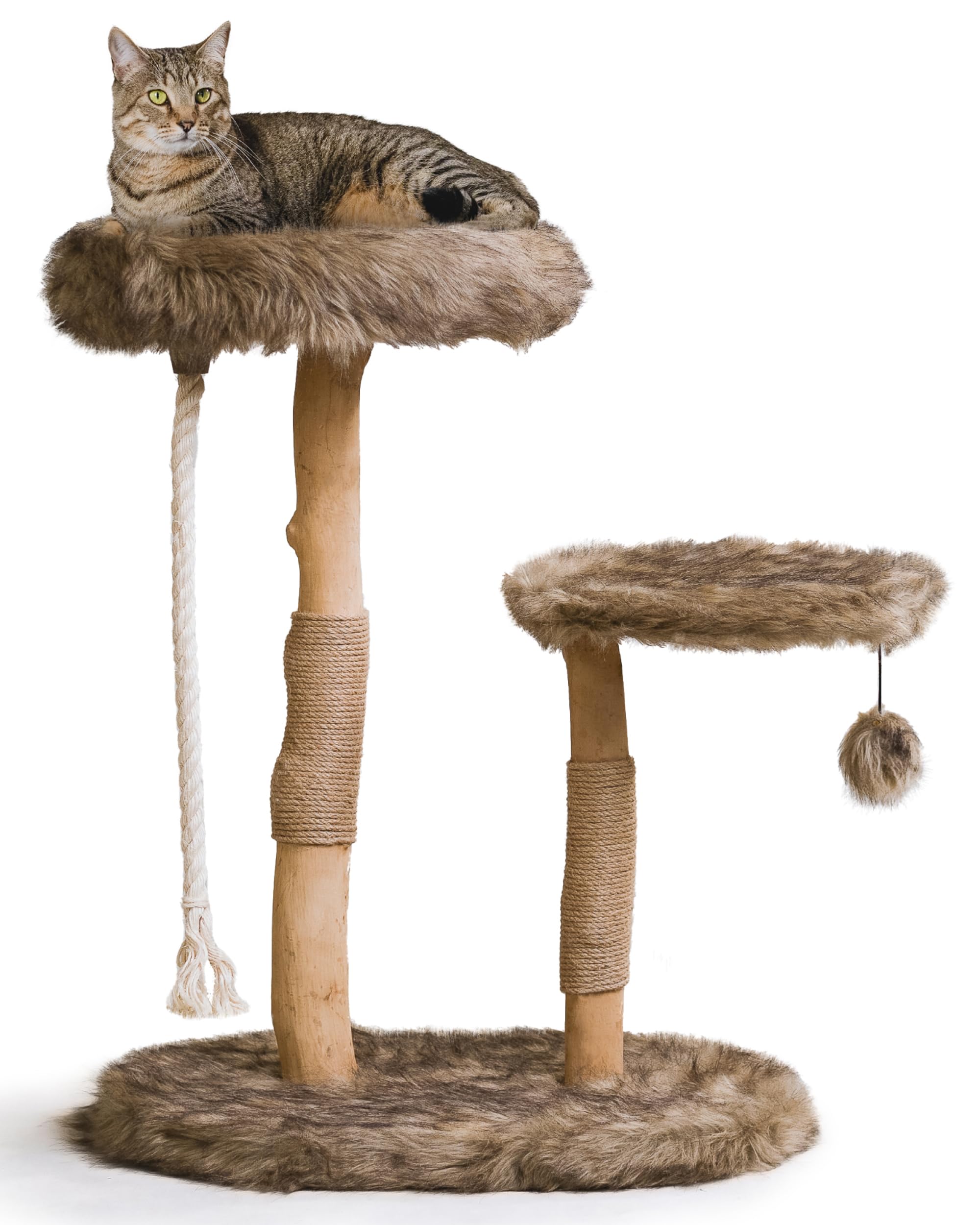 Premium MAU Modern Cat Tree Tower - Natural Wood Cat Condo & Scratching Post with Perches | Luxury Cat Furniture for Indoor Cats | Perfect Cat Lover Gift for Home, Office & Apartment
