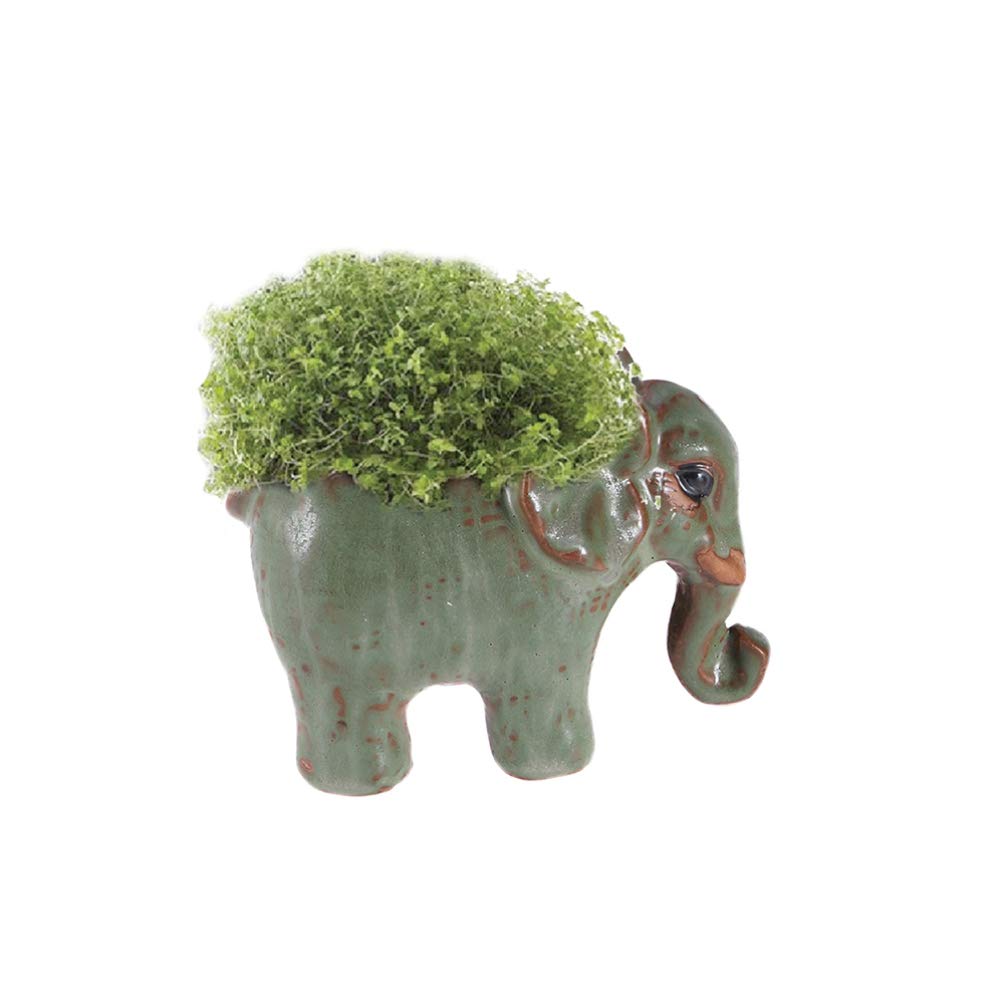 DOITOOL Stylish Ceramic Succulent Planter - Artistic Home Decor Flower Pot for Indoor Plants, Perfect for Living Room, Office, and Garden Decor