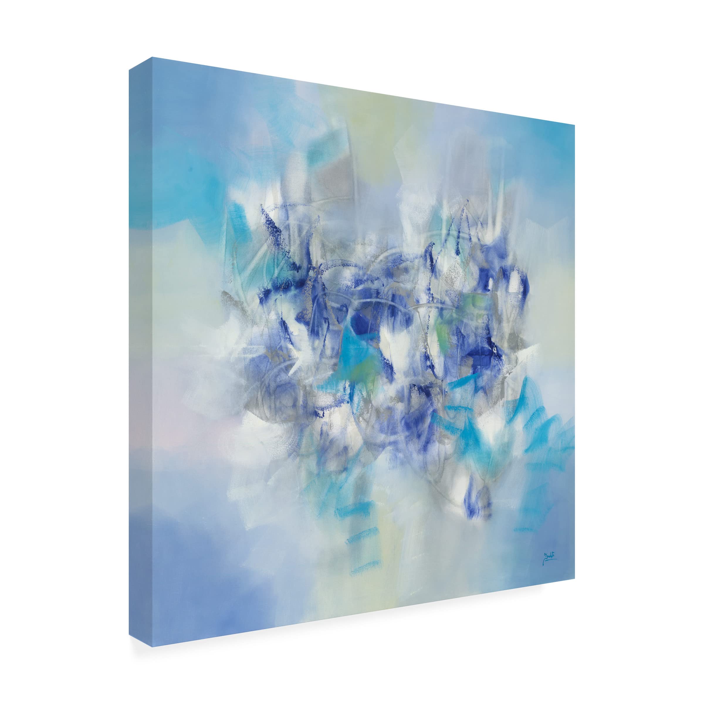 Trademark Fine Art 'Frozen In Time' Canvas Wall Art by Zavaleta - Stunning Home Decor for Living Room, Bedroom & Office