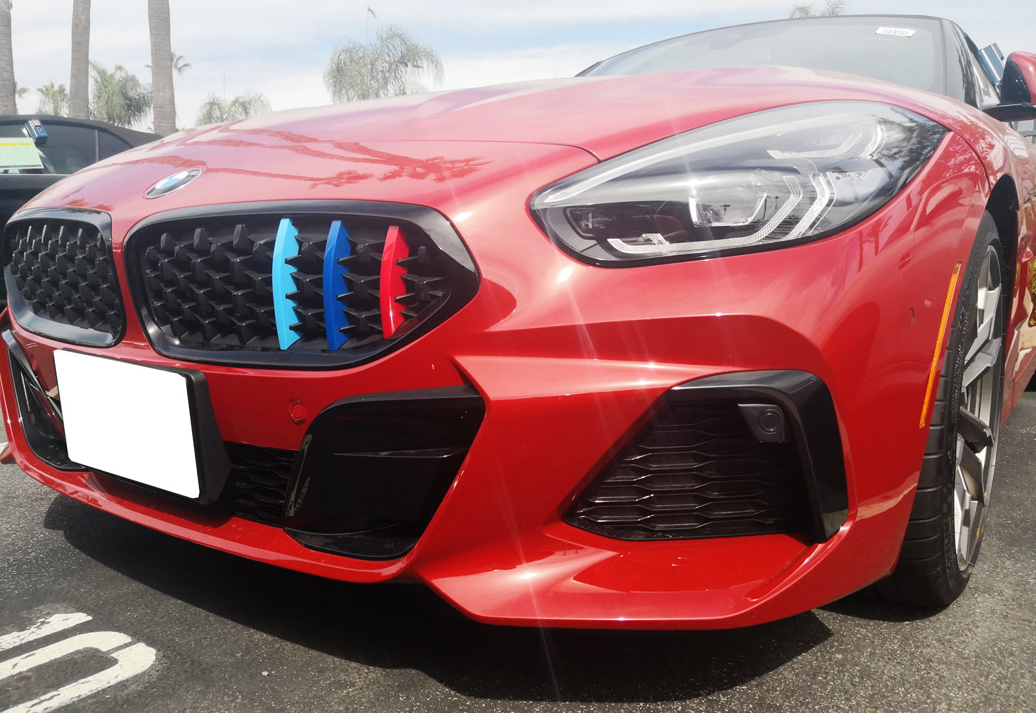 3D Mesh Kidney Grills for 2019-2023 BMW G29 Z4 | ///M Style Colored Grille Insert Trims | Upgrade Your Front Grille for Sporty Look & Enhanced Airflow