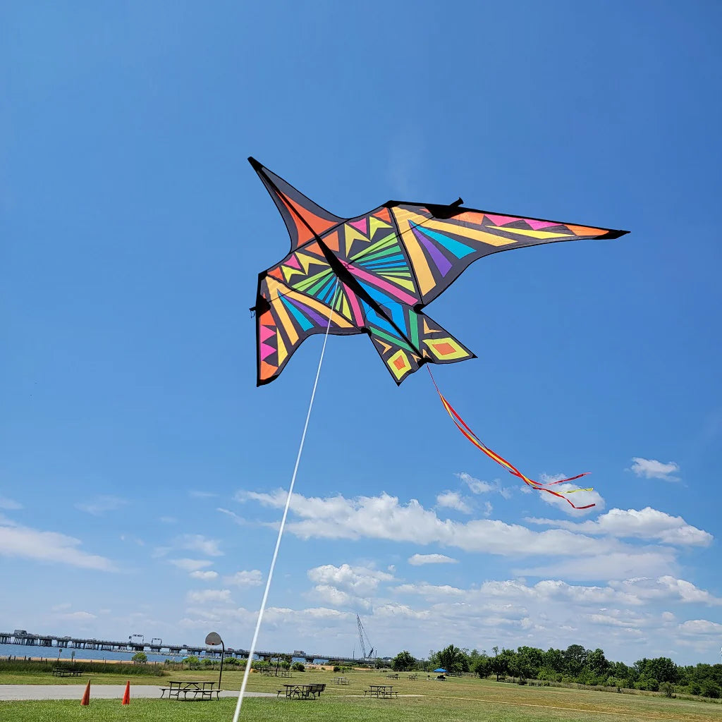 16' Thunderbird Kite - Rainbow Geometric Design Kite for Outdoor Fun | Beach, Park & Backyard Flying | Perfect for Kids & Adults