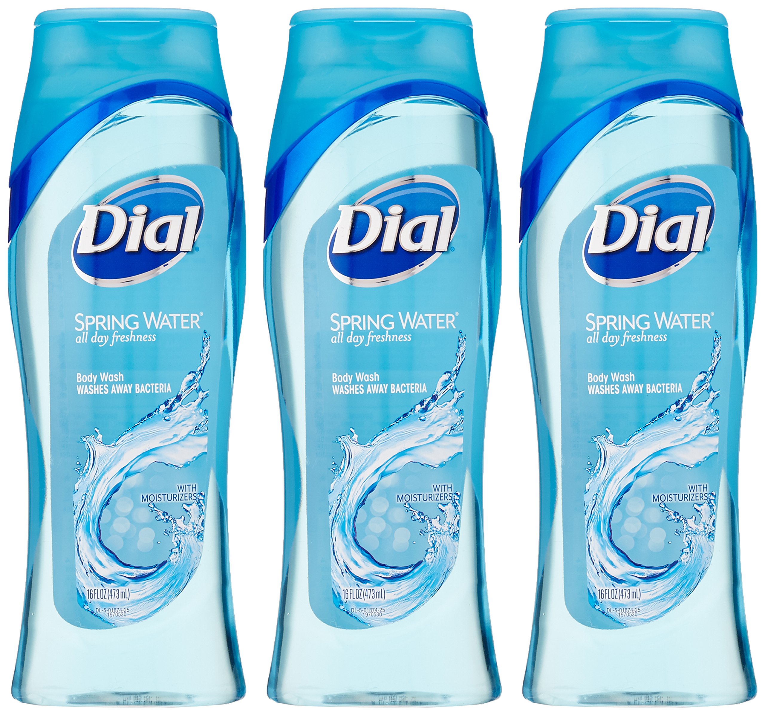 Dial Moisturizing Body Wash with Spring Water - 16 oz (Pack of 3) | Hydrating Shower Gel for Dry Skin, Daily Cleansing & Relaxation