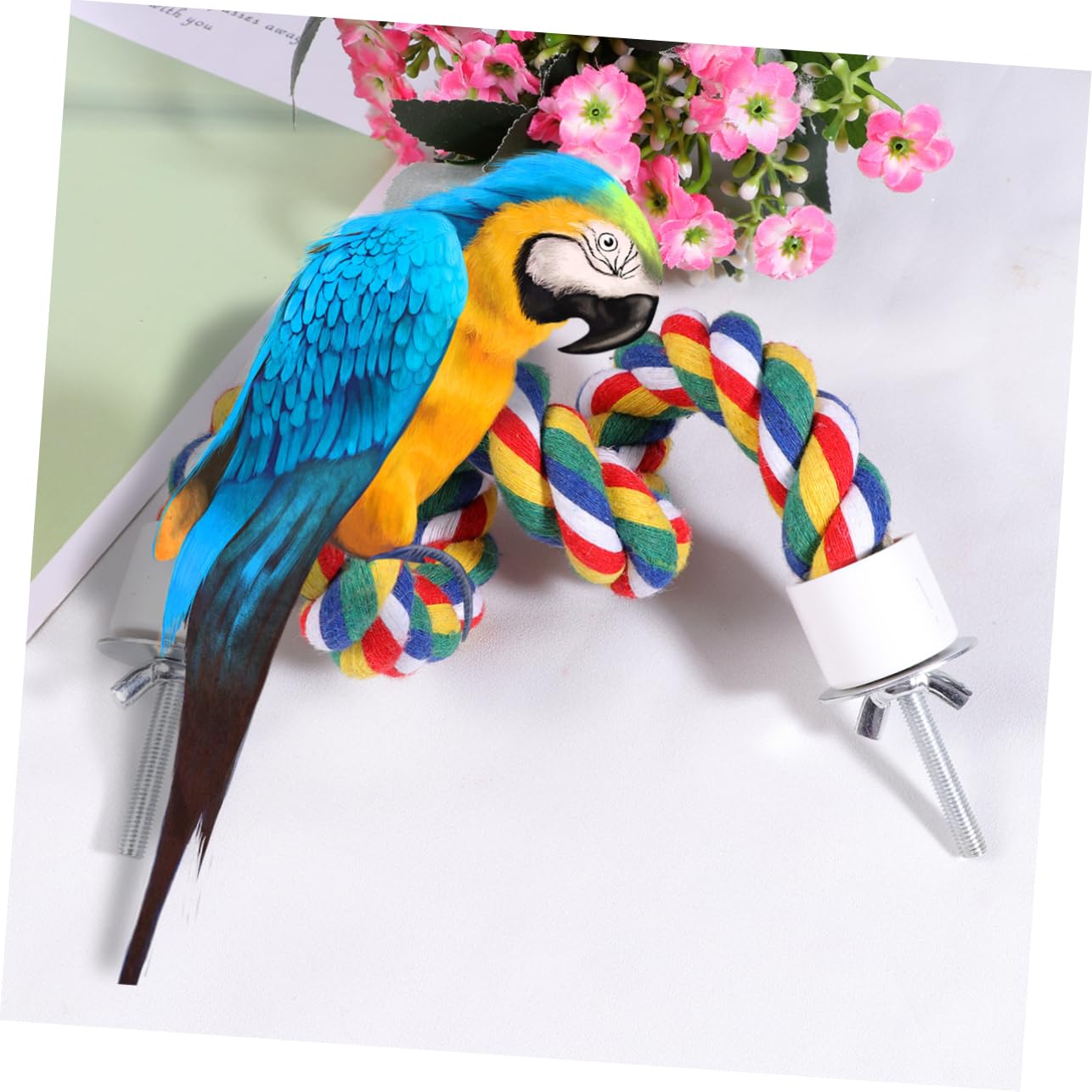 iplusmile 31.4inch Spiral Bird Rope Perch - Natural Cotton Parrot Swing Toy for Cockatiels, Budgies & Small Birds | Cage Accessories for Climbing, Playing & Exercising (80CM/31.4inch) - Perfect for Bird Cage Enrichment & Mental Stimulation