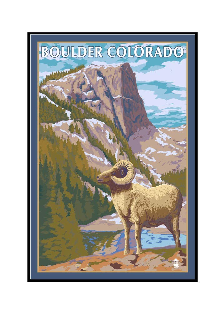 Big Horn Sheep Boulder Colorado Art - 24x36 Framed Gallery Wrapped Canvas Print - Mountain Wildlife Wall Decor for Living Room, Office & Cabin