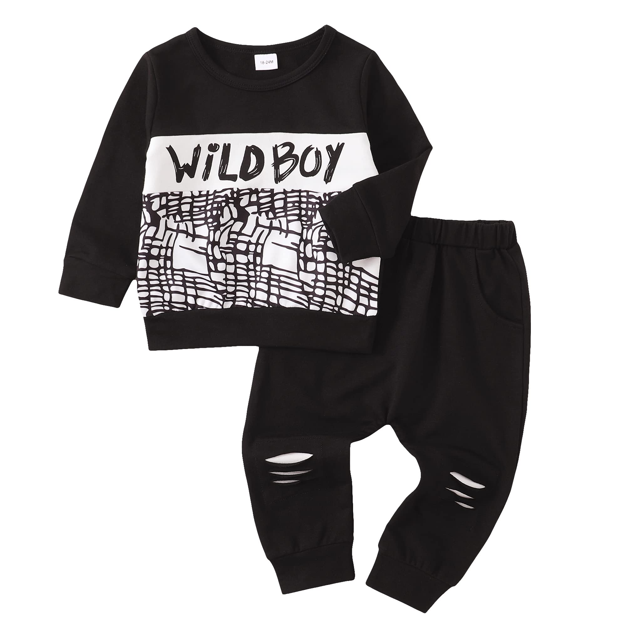 Toddler Boy Clothes Set - Long Sleeve Top & Pants for Fall Outfits | Playtime & Daily Wear