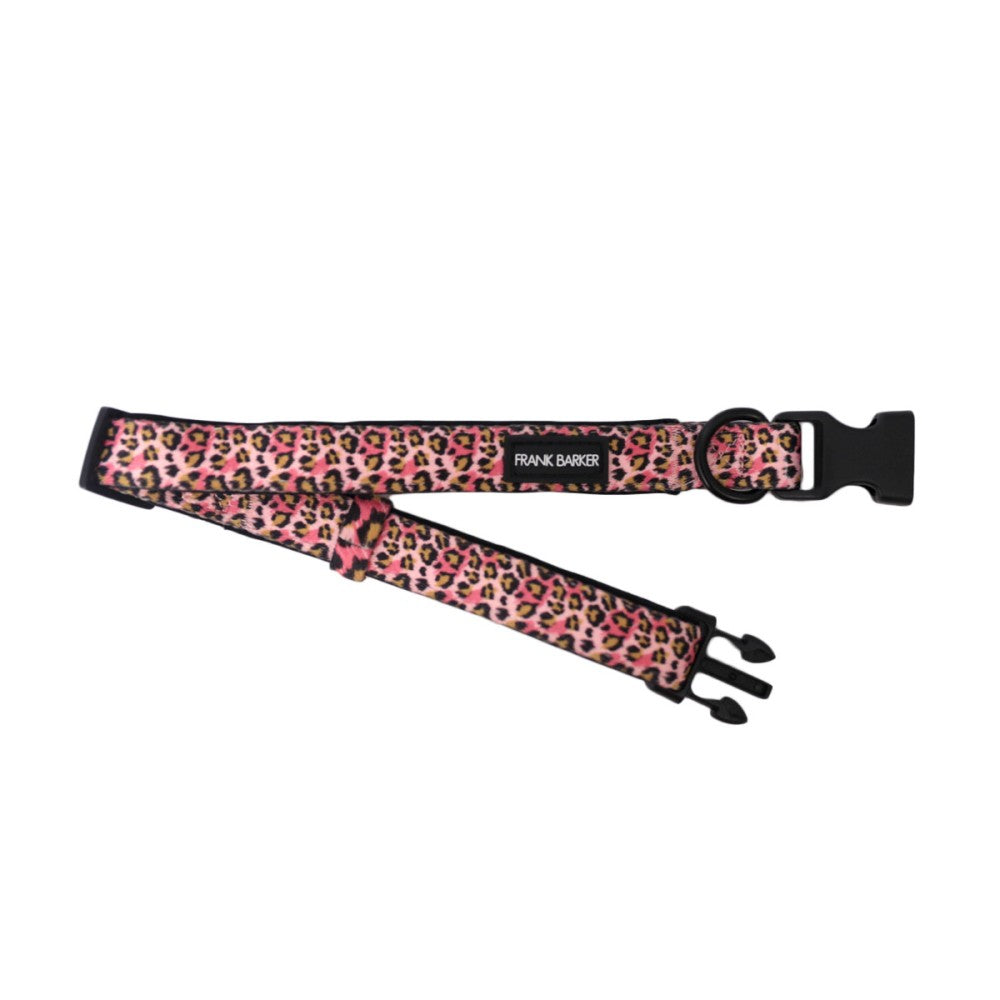 Frank Barker Leopard Print Dog Collar - Adjustable Pet Collar for Small & Medium Dogs - Durable Nylon with Metal Buckle - Perfect for Daily Walks, Training & Outdoor Adventures