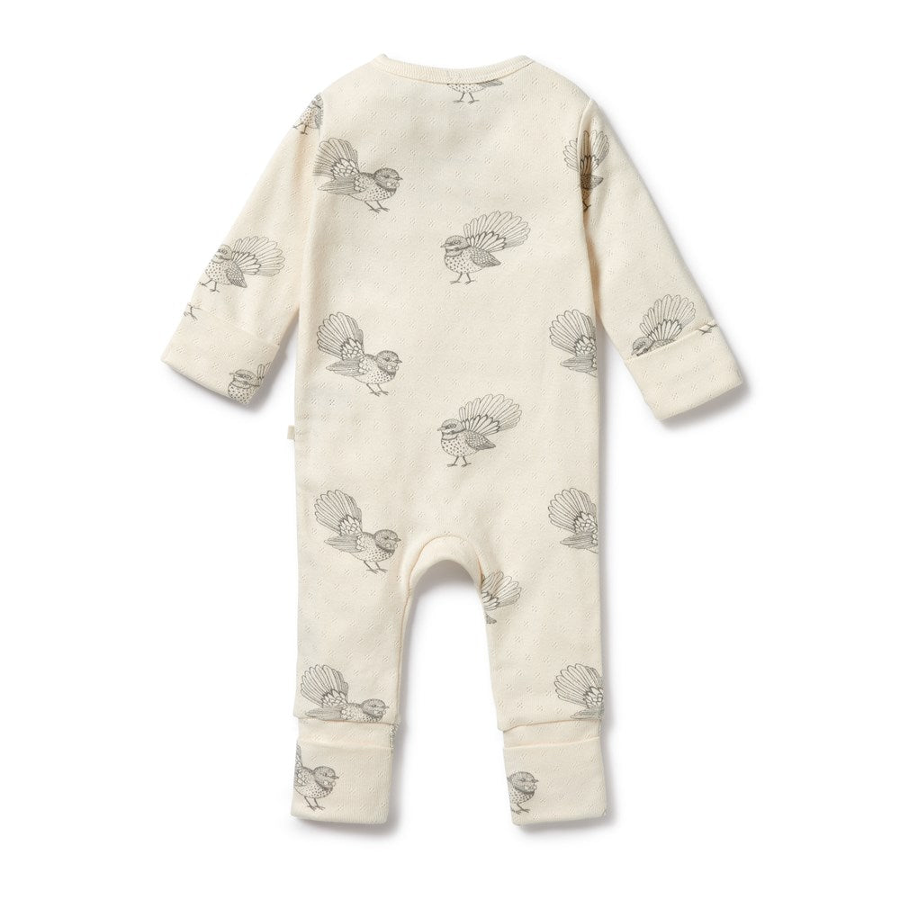 Organic Cotton Baby Zipsuit with Feet - Little Fantail Pointelle Romper for Newborns & Infants - Soft & Breathable Sleepwear for Daycare & Playtime
