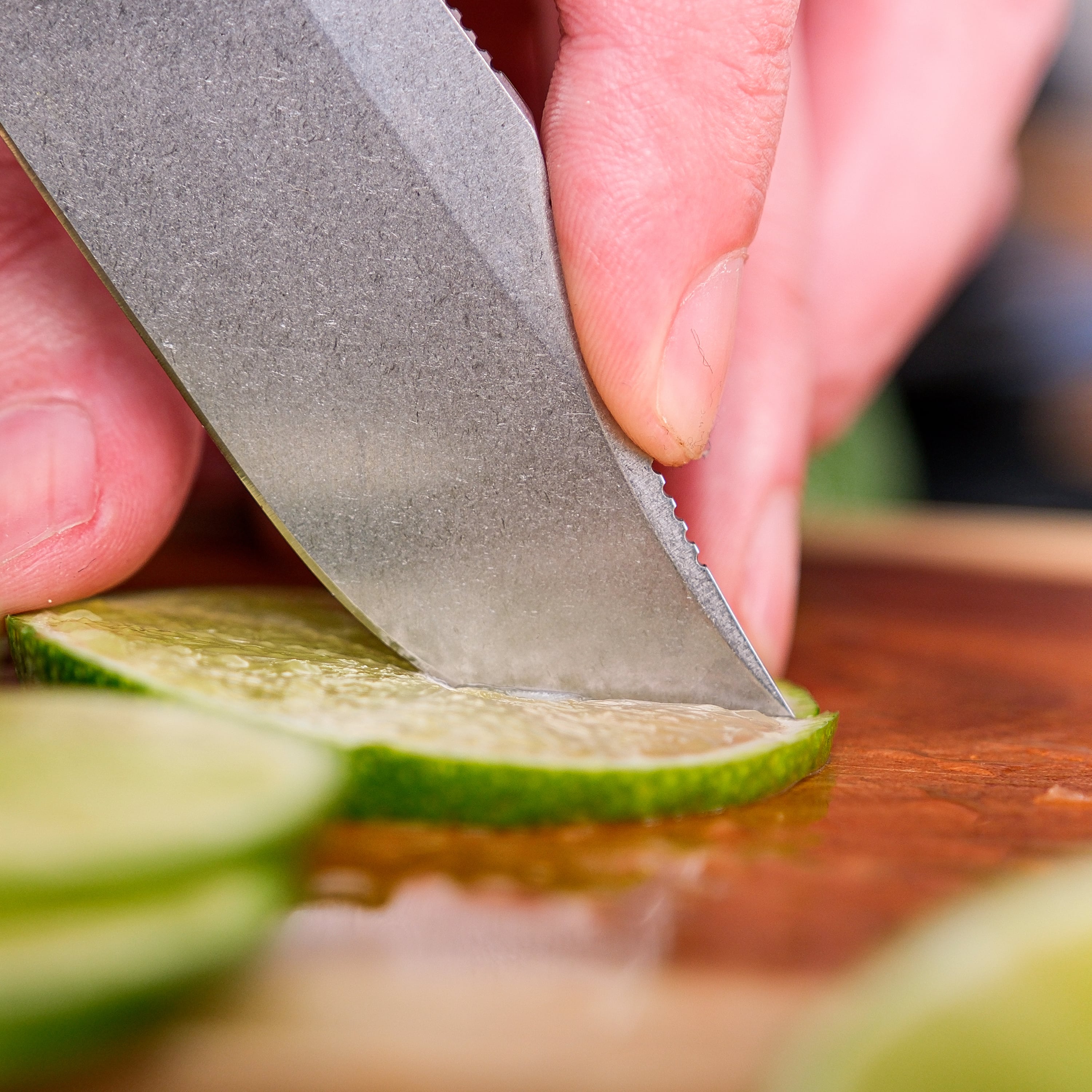 Quokka O Fixed Blade Knife - 2.75