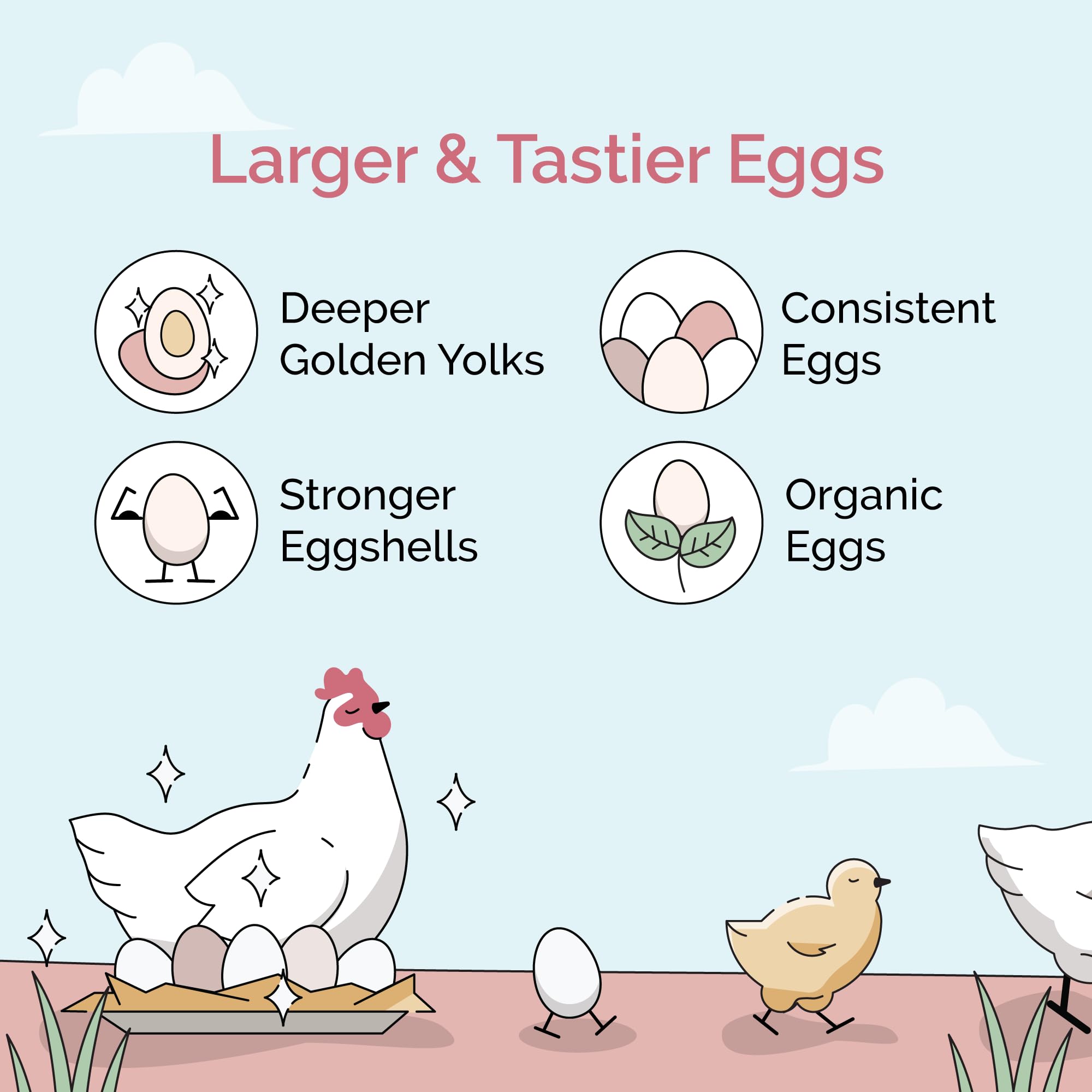 Organic Non-GMO Chicken Feed - USA Grown Layer Mash with 16% Protein, Corn-Free & Soy-Free, Non-Medicated Poultry Feed (46 lbs) - Perfect for Backyard Chickens, Egg Production & Healthy Flock Nutrition