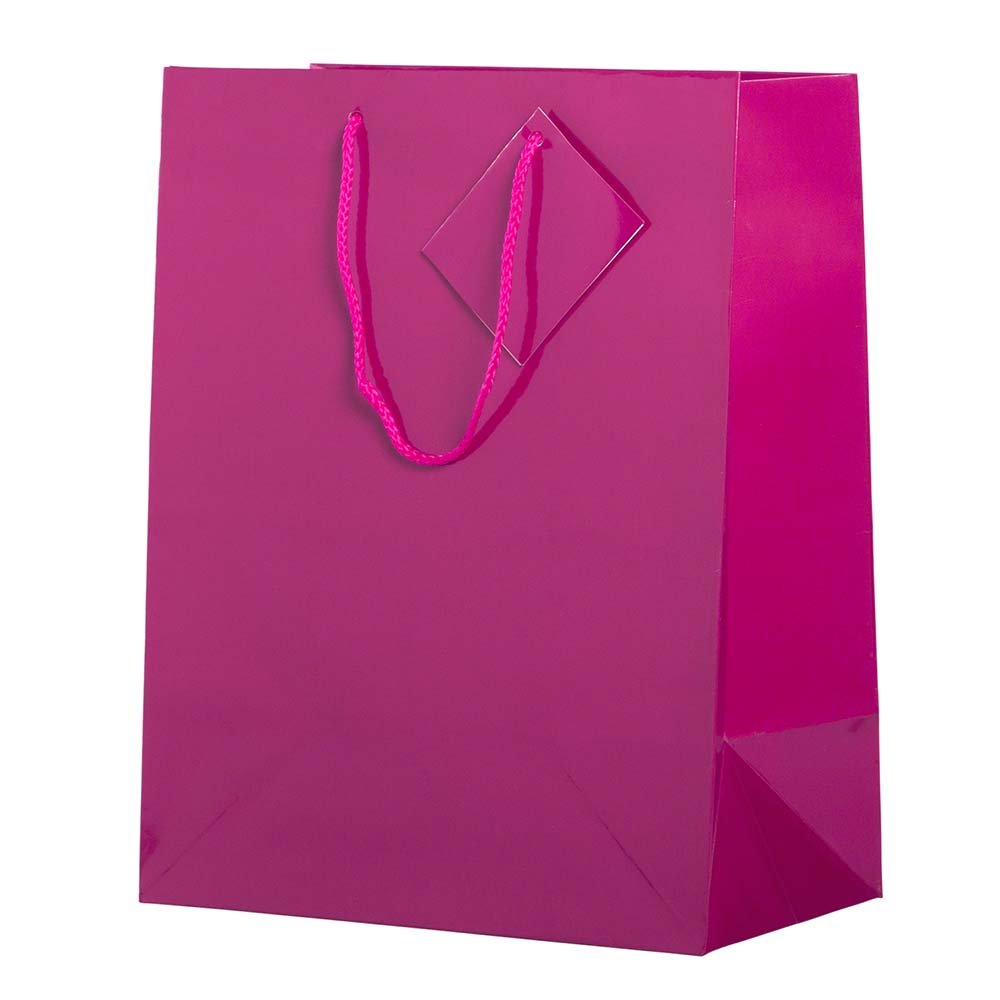 JAM Paper Glossy Gift Bags with Rope Handles - Large 10x5x13 Inches - Hot Pink - Bulk Pack of 100 - Perfect for Birthday Parties, Weddings & Holiday Gifts