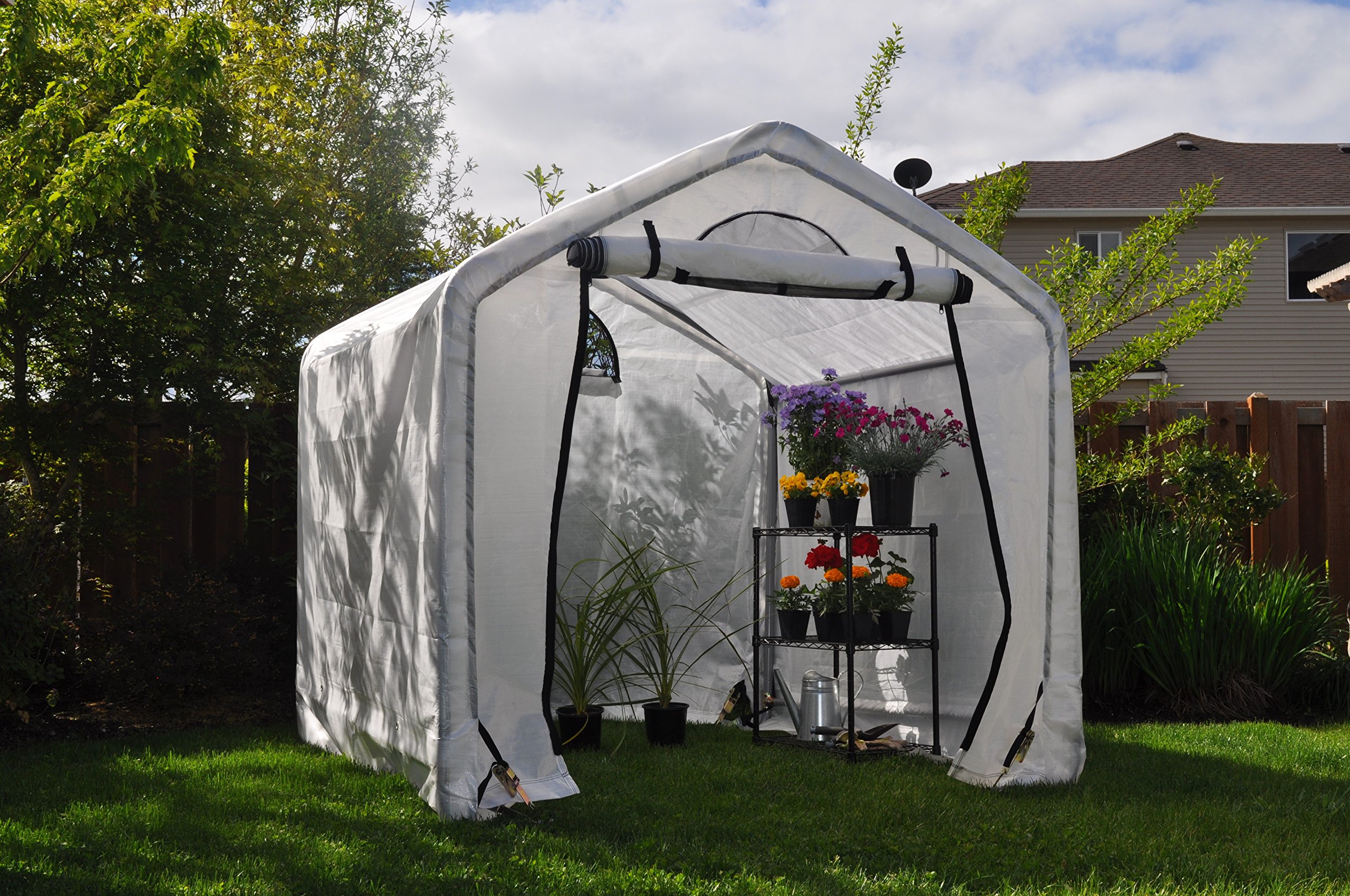 Dry Top 43101 10' x 10' x 8' White Greenhouse Kit for Gardening, Plant Growing & Backyard Farming - Perfect for Vegetables, Flowers & Seed Starting