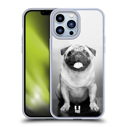 Cute Male Pug