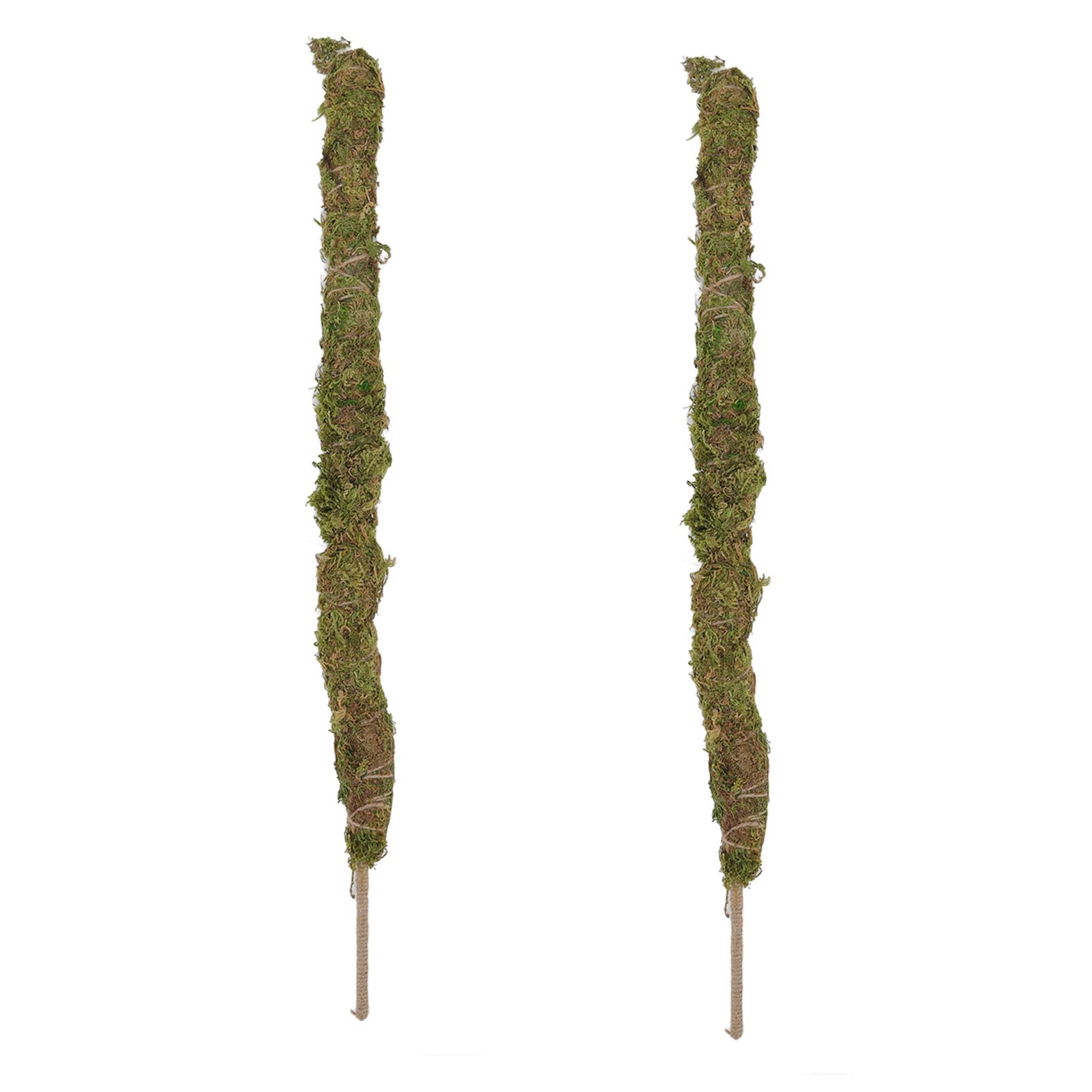 **Moss Pole for Potted Plants - 2 Pack Plant Support Stakes with Natural Moss, Safe & Sturdy Gardening Tools for Climbing Plants - Perfect for Monstera, Pothos, and Philodendron Indoor Growth**