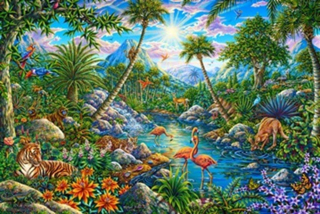 Discovery Island Poster by Michael Fishel - 36x24 Inch Wall Art Print - Perfect for Home, Office & Classroom Decor