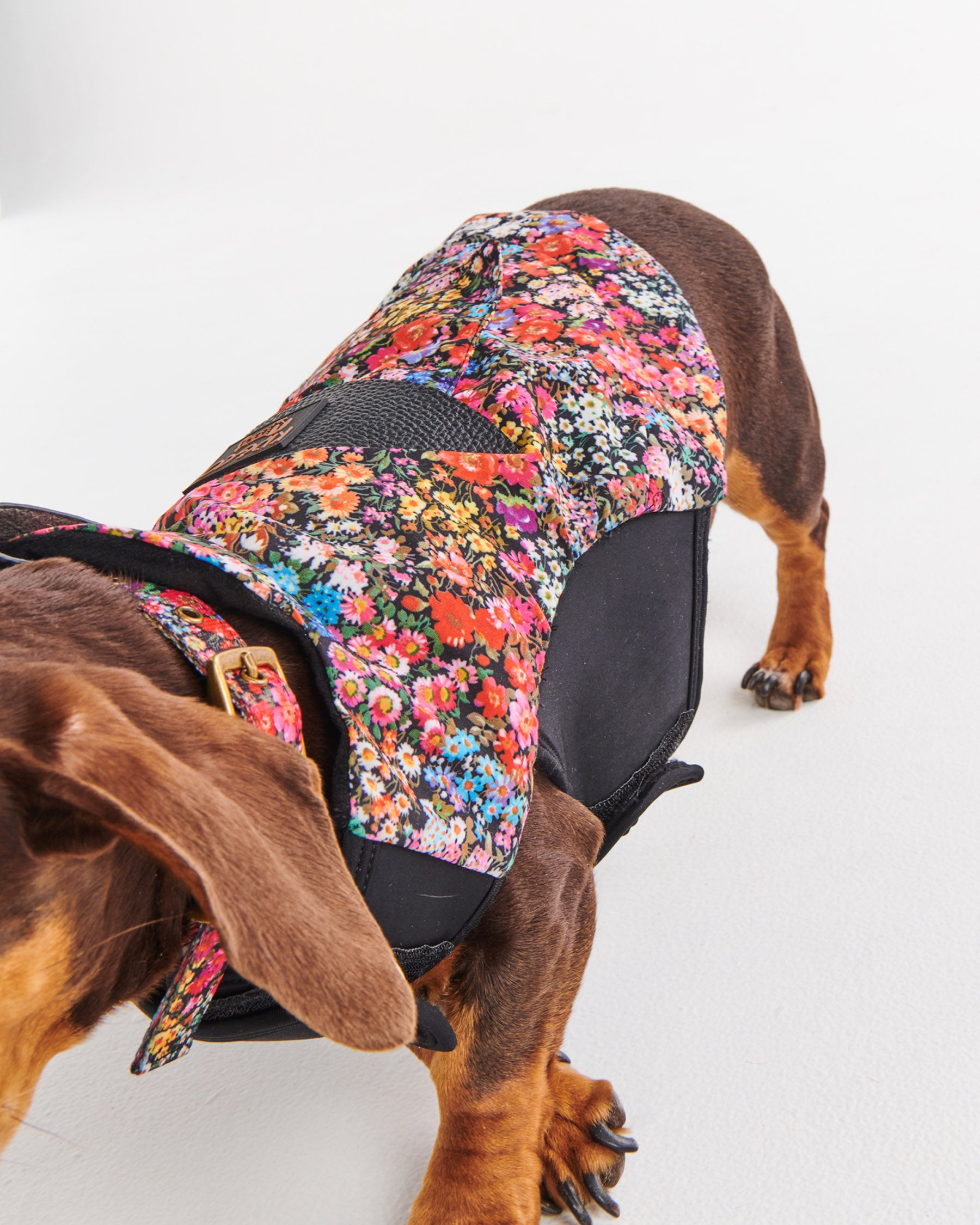 Forever Floral Black Dog Jacket - Waterproof & Stylish Pet Coat for Small to Medium Dogs - Perfect for Outdoor Walks, Winter Protection & Fashionable Pet Apparel