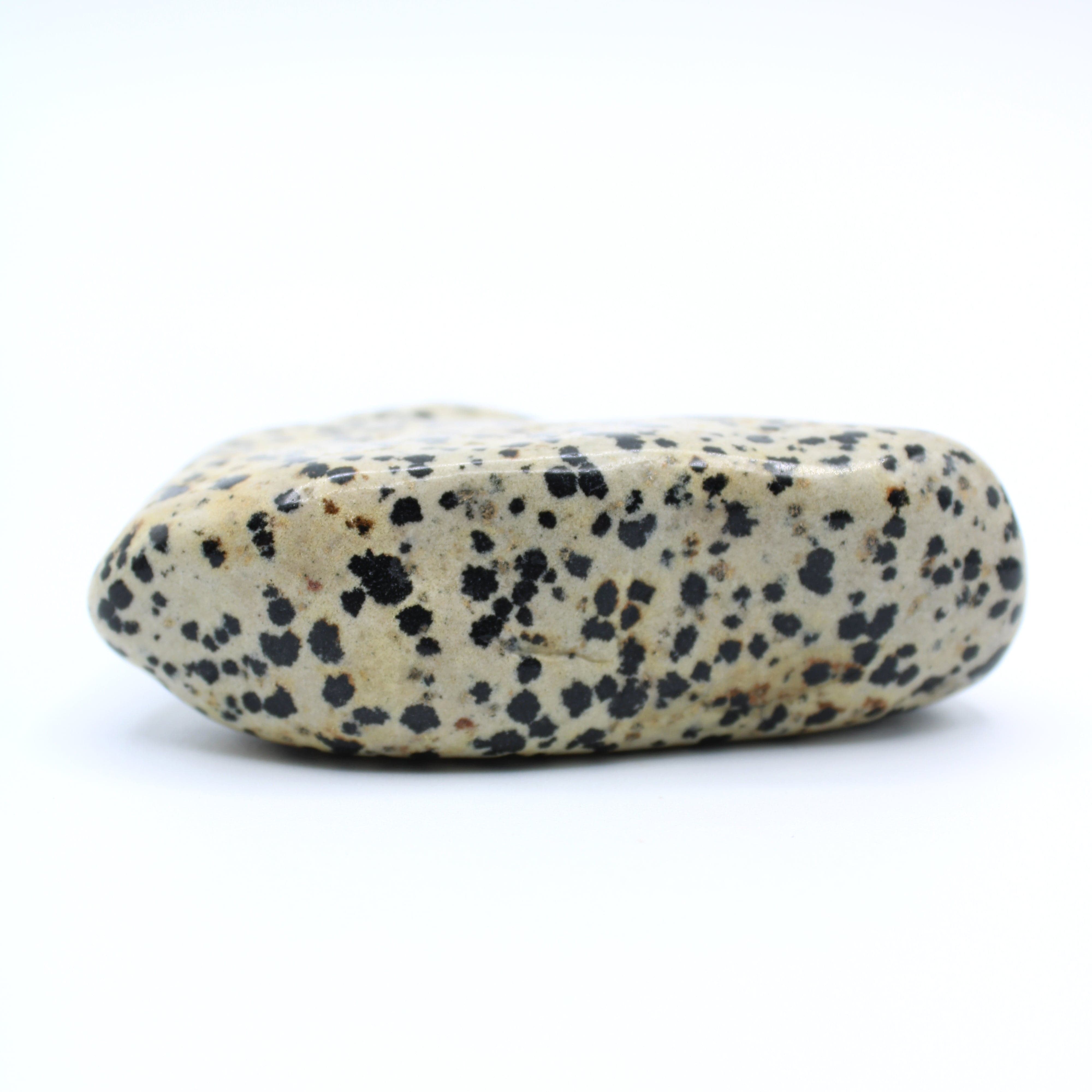 Natural Dalmatian Jasper Free Form Stone - Healing Crystal for Meditation, Home Decor & Spiritual Gifts | Perfect for Yoga, Reiki & Positive Energy