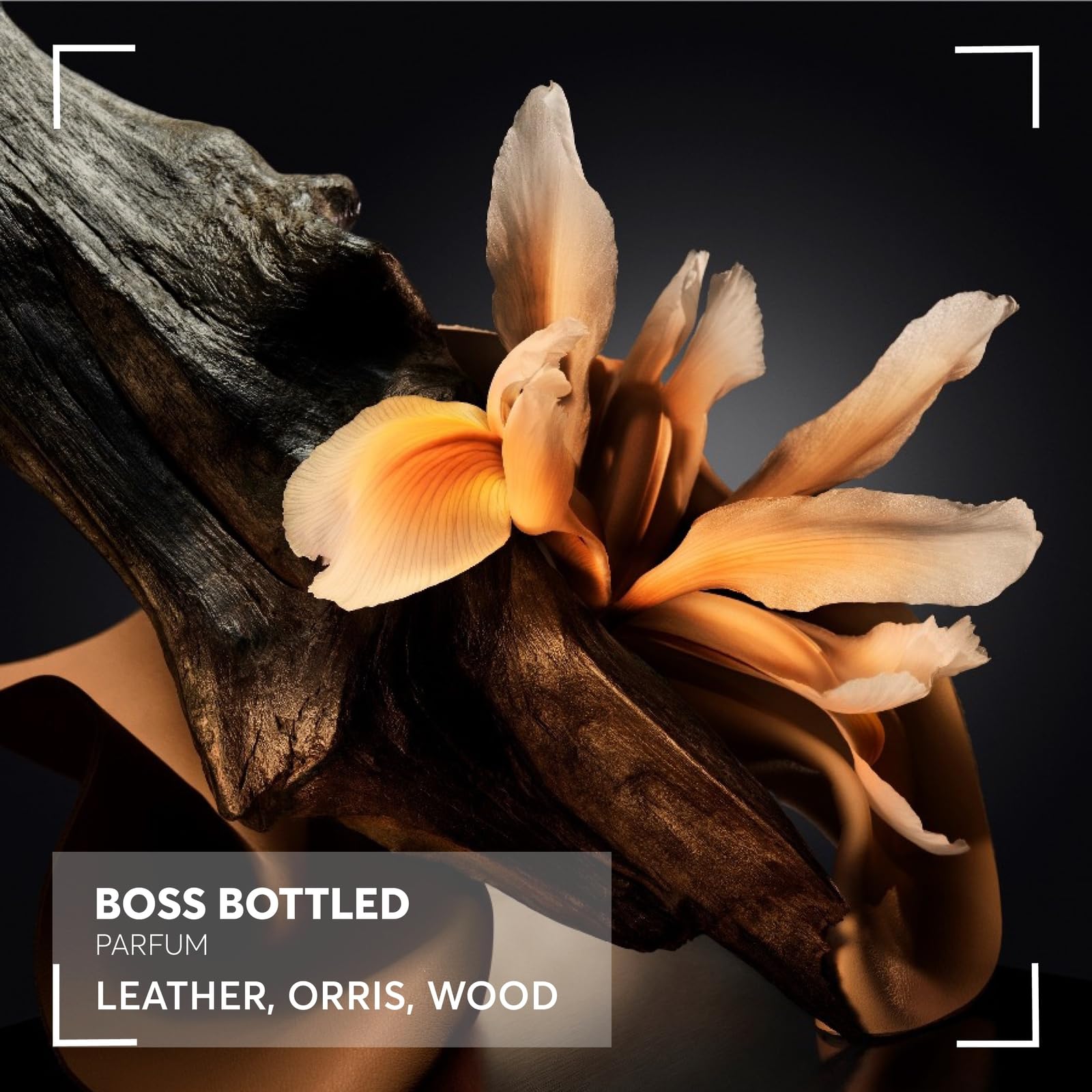 Hugo Boss Bottled Parfum for Men - Woody Amber Cologne with Leather, Orris & Wood Notes - Long Lasting Fragrance Spray - Perfect for Date Night, Office & Special Occasions