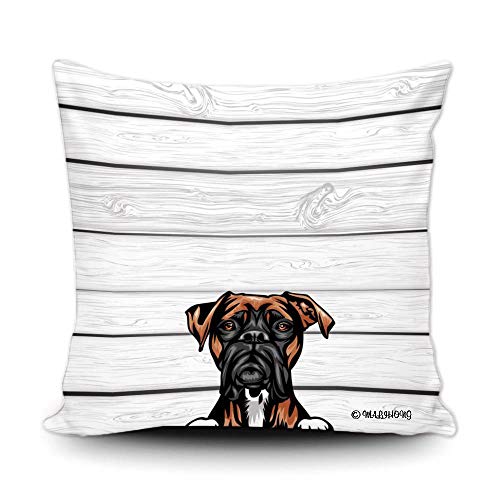 Boxer-2